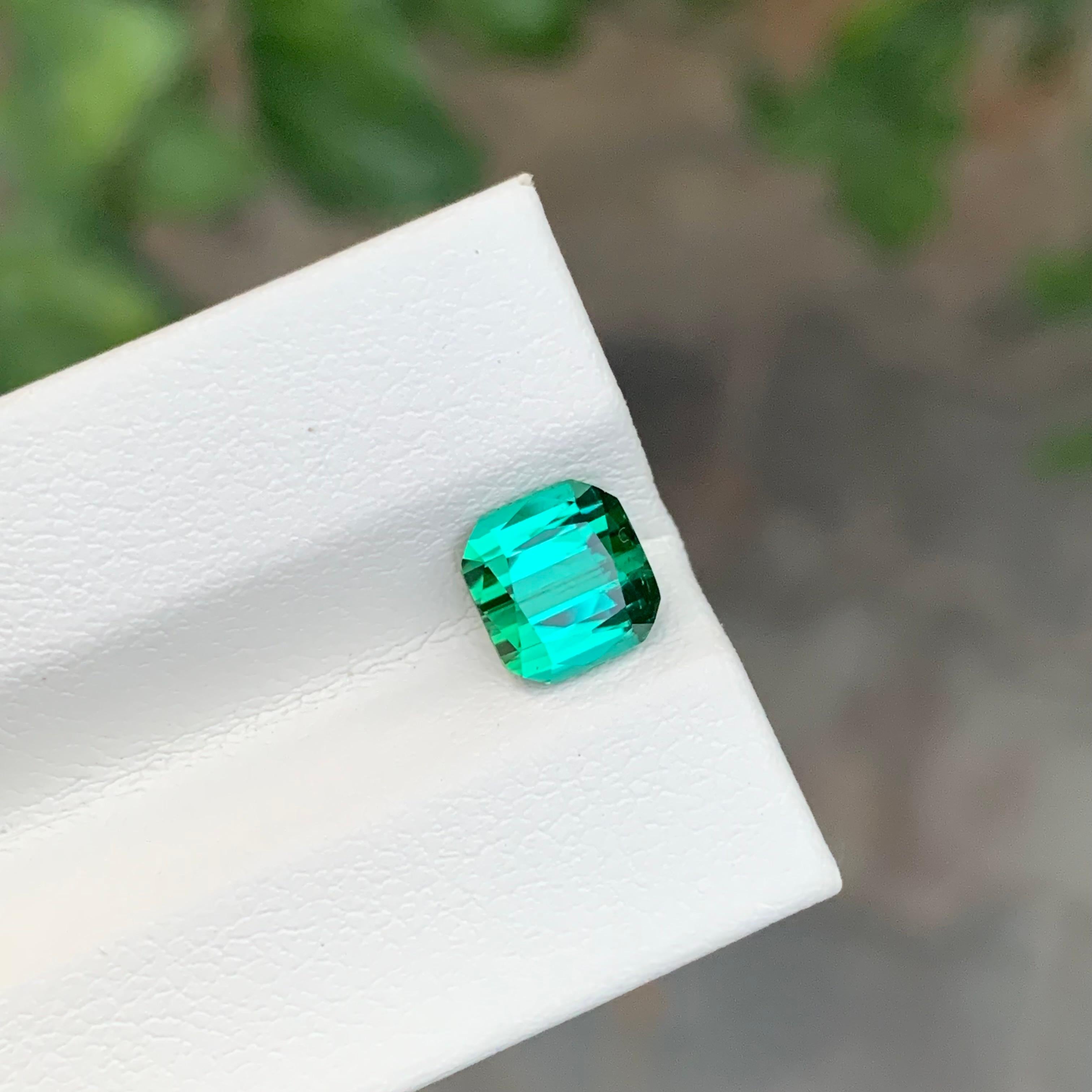Tourmaline bleue verte facettée

Poids : 1,90 carat
Dimension : 6,6 x 6,9 x 4,9 mm
Couleur : Vert Bleu 
Traitement : Non
Certificat : Sur demande du client
Forme : Coussin


La tourmaline est une pierre précieuse captivante connue pour sa