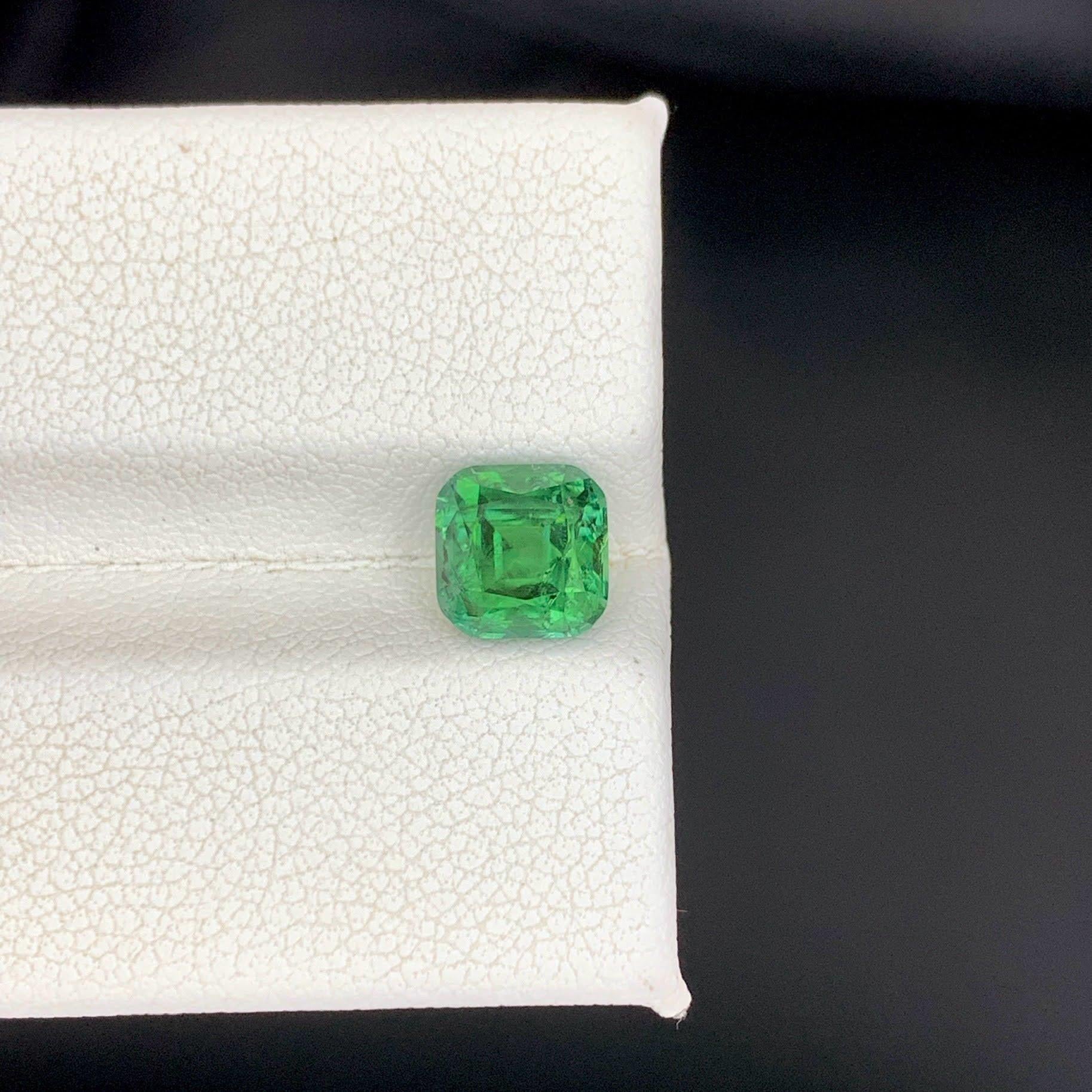 Weight 1.90 carat 
Dimensions 6.5x6.5x5.7 mm
Treatment None 
Origin Afghan 
Clarity SI
Shape Cut Cushion 




This 1.90 carat Natural Green Tourmaline showcases a beautifully saturated green hue with excellent clarity, giving it a bright and lively
