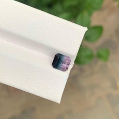 1.90 Carat Natural Loose Tricolour Tourmaline Octagon Shape Gemstone