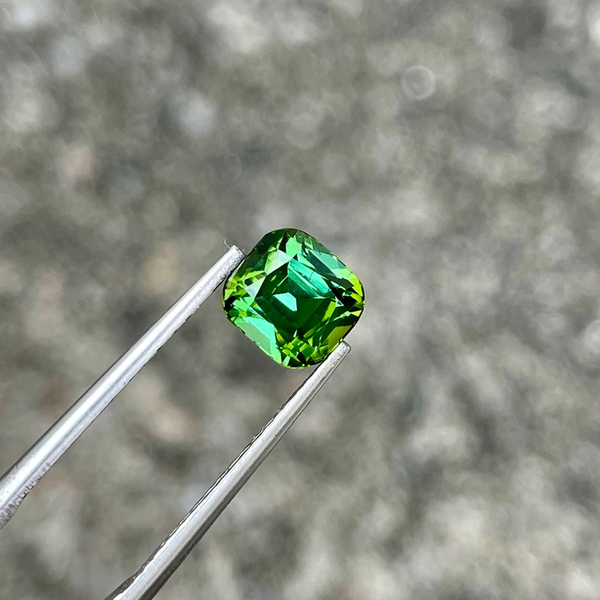 Poids 1,90 carats
Dimensions 6,8x6,3x5,6 mm
Clarté VVS
Traitement Aucun
Origine Afghanistan
Coussin de forme
Coupe en escalier Coupe en coussin



La tourmaline vert menthe de 1.90 carat, méticuleusement taillée en forme de coussin, est un exemple