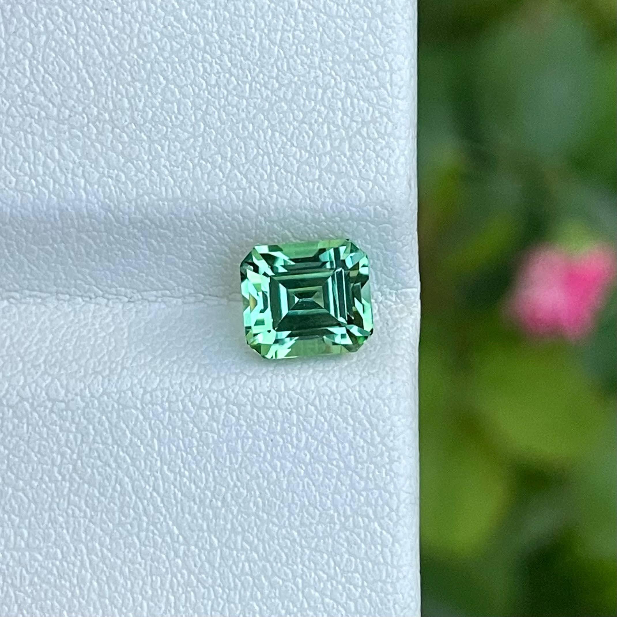 Weight 1.90 carats 
Dimensions 6.9x6.0x5.6 mm 
Treatment none 
Origin Afghanistan 
Clarity eye clean 
Shape octagon 
Cut emerald 



The 1.90 carat Mint Green Tourmaline stone, meticulously cut into a emerald shape, is a striking example of Afghan