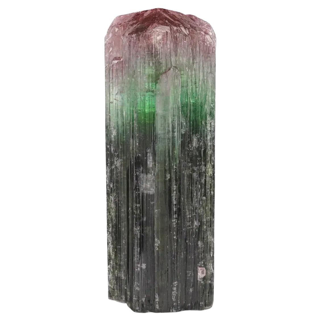 Bicolor Rosa Farbe Top Mintgrüner Turmalin Kristall aus Afghanistan im Angebot