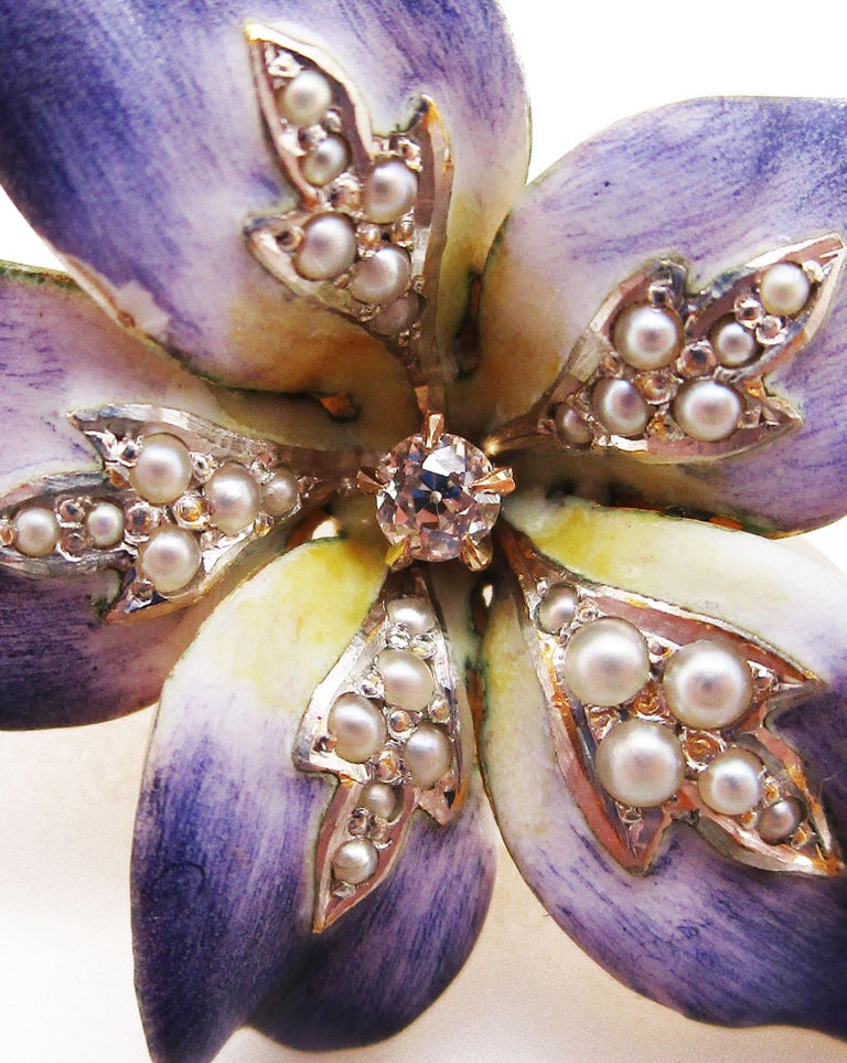 Art Nouveau 18 Karat Gold Platinum Enamel Diamond Seed Pearl Violet Pin ...