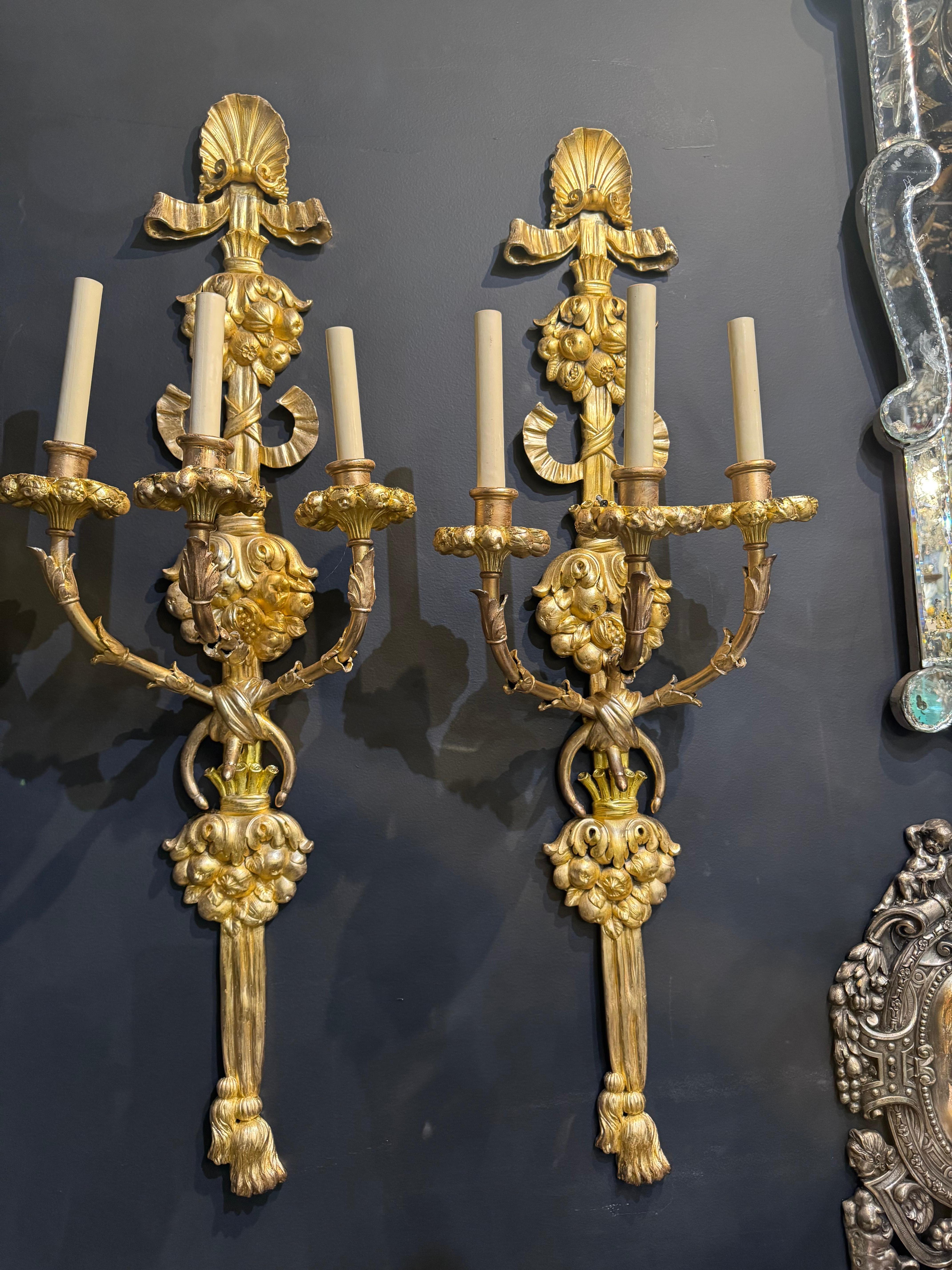Pair of circa 1900 Caldwell three lights gilt bronze sconces with unusual size and design with shells and flowers