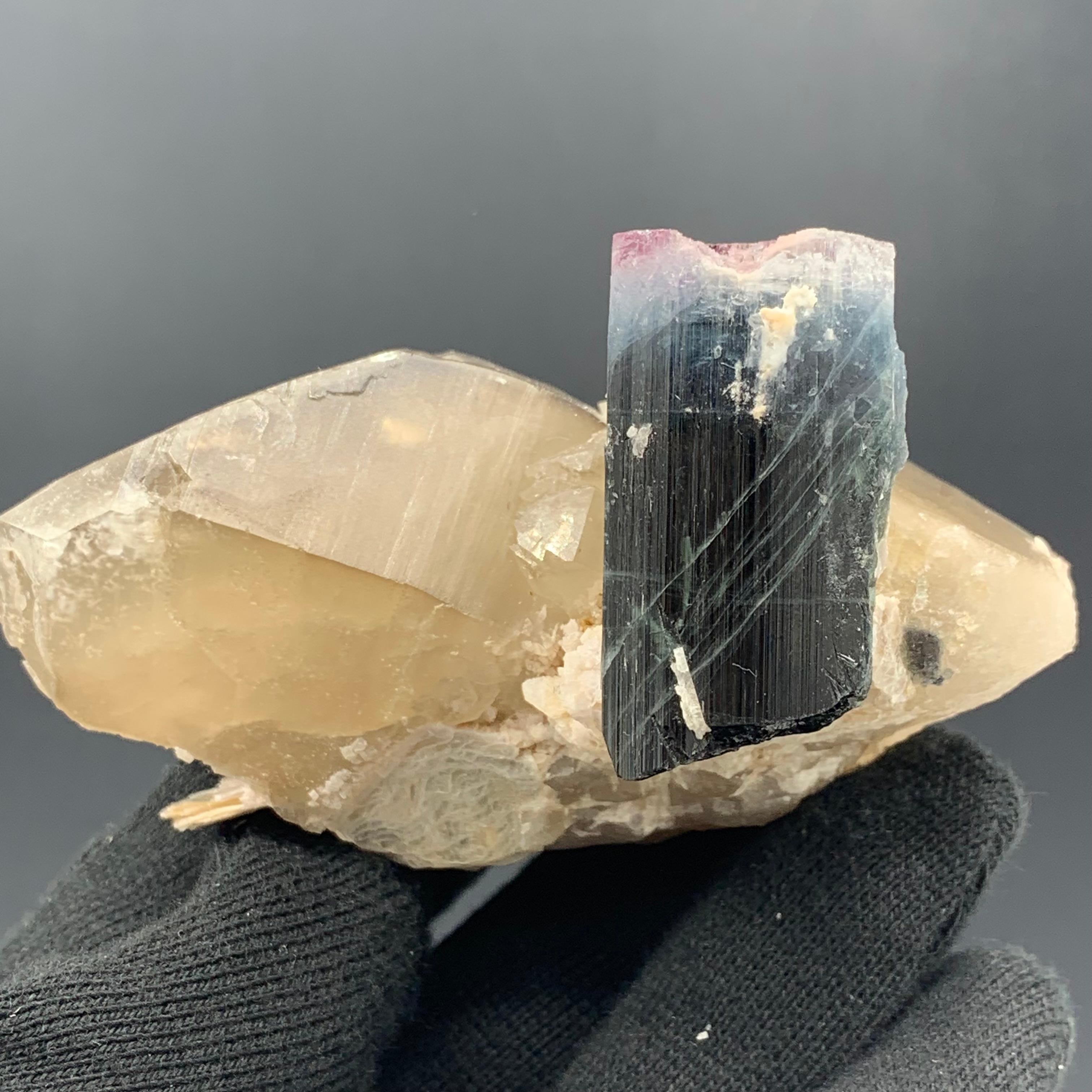 190.04 Gram Gorgeous Tri Color Tourmaline Attached Big Quartz And Muscovite 

Weight: 190.04 Gram 
Dimension: 4.6 x 9 x 5.9 Cm 
Origin: Kunar, Afghanistan 

Tourmaline is a crystalline silicate mineral group in which boron is compounded with