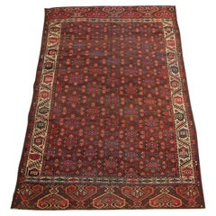 1900s Antique Turkeman Rug