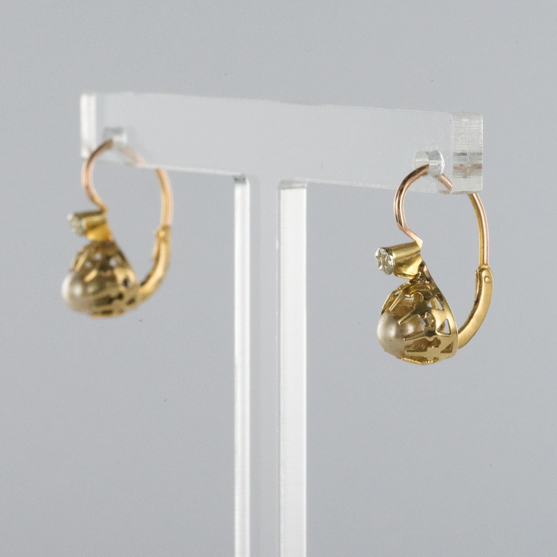Belle Époque 1900s Cultured Pearls Yellow Gold Sleepers Earrings