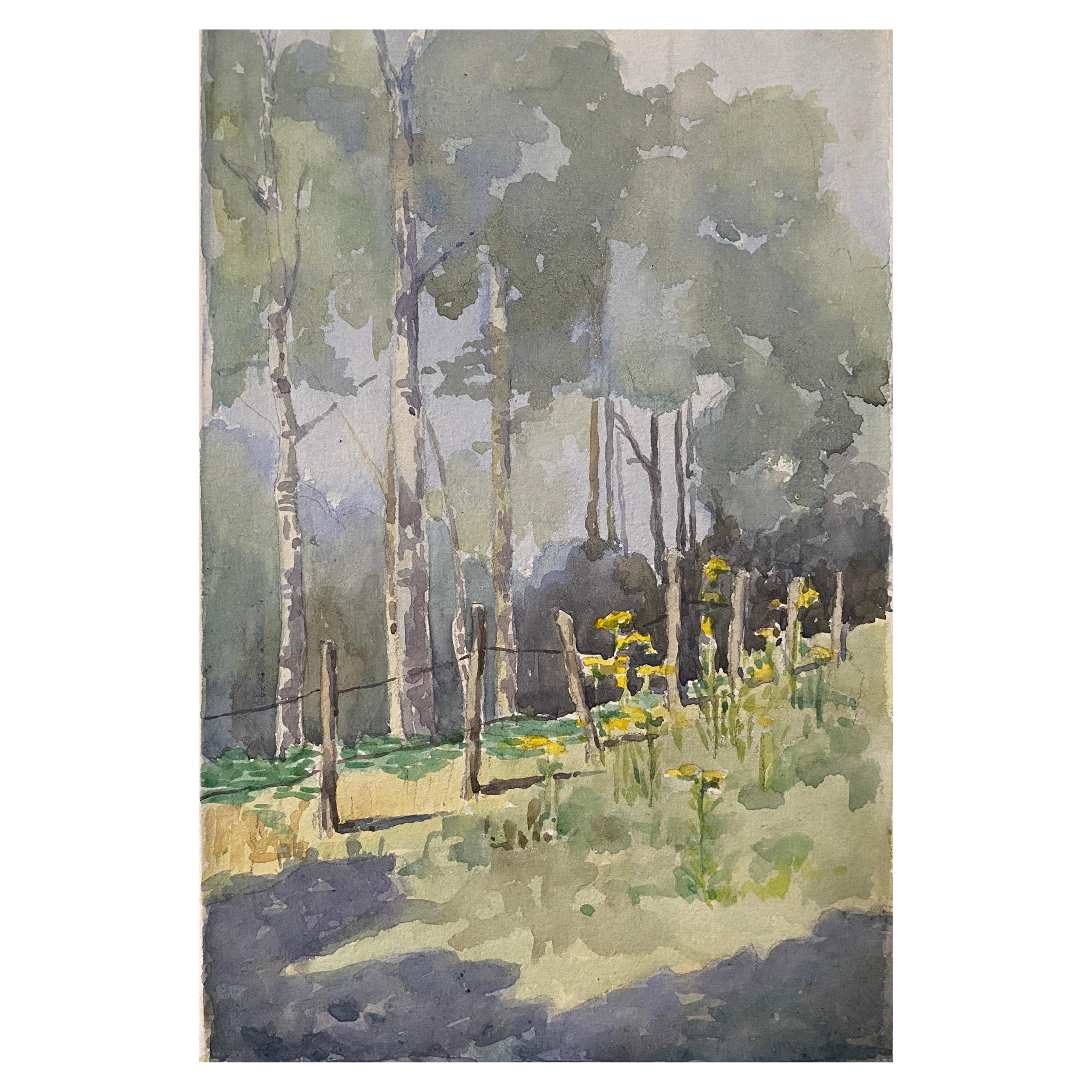 Peinture à l'aquarelle impressionniste anglaise « Spring Field » des années 1900 en vente
