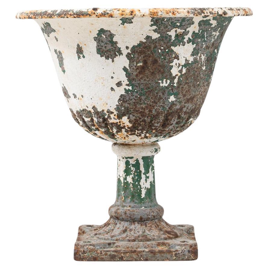 1900s French Cast Iron Planter