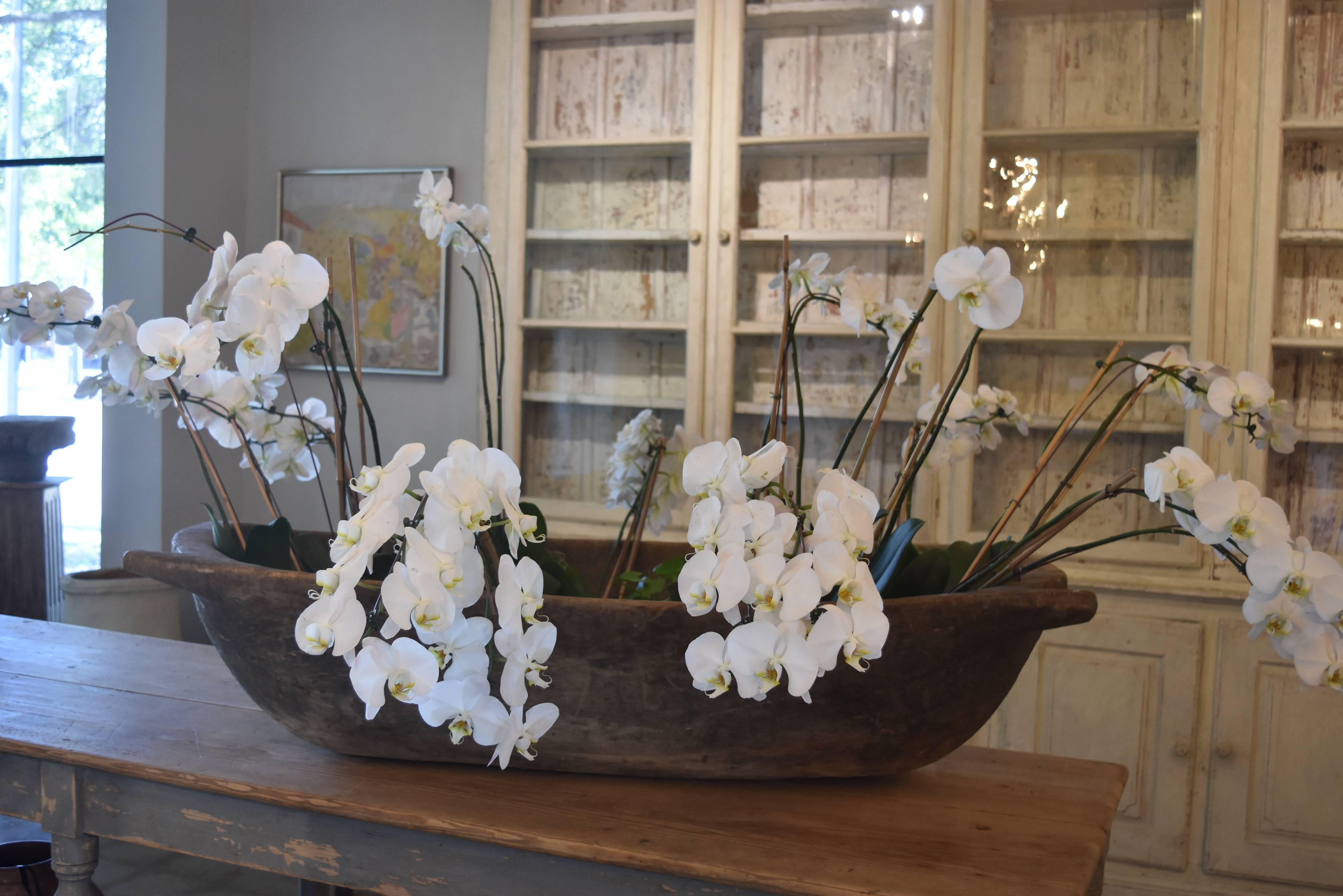 This is a really nice and very large wooden trough that I use for orchids. I usually put about 15 or so double orchids on a long table or counter and it's very impressive. This one originates from France. It has tons of character and a wonderful old