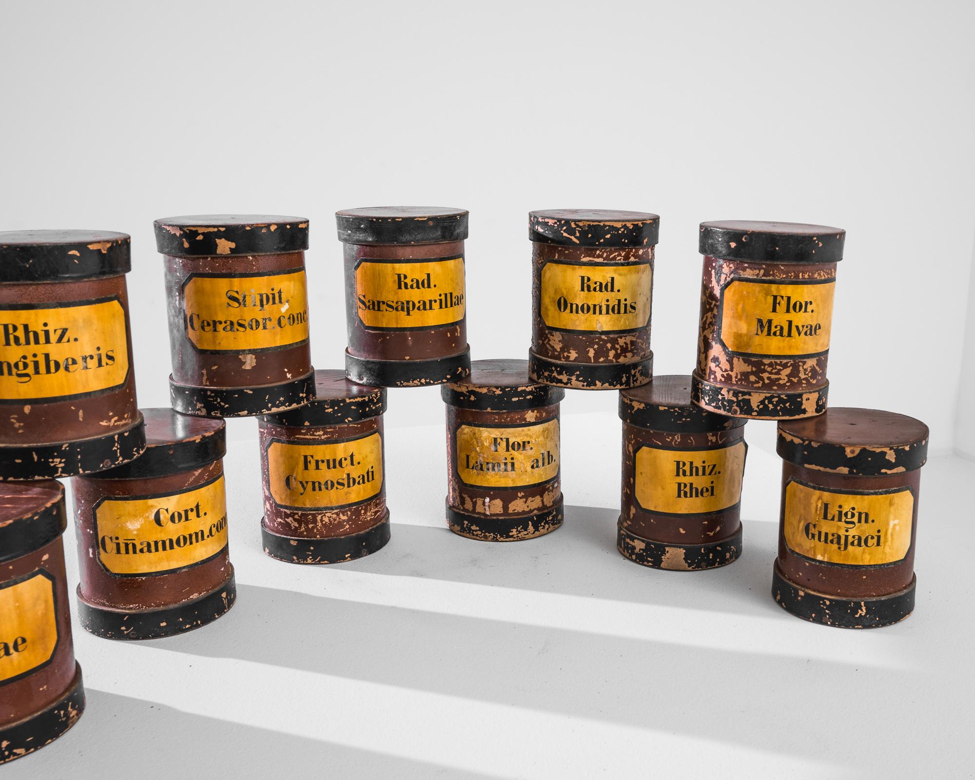 Embark on a journey through time with this set of 1900s French Pharmacy Canisters, a collection of 11 canisters each bearing the names of vintage items used in pharmacies. From Rhiz Zingiberis to Rad Sarsaparillae, each canister represents a bygone