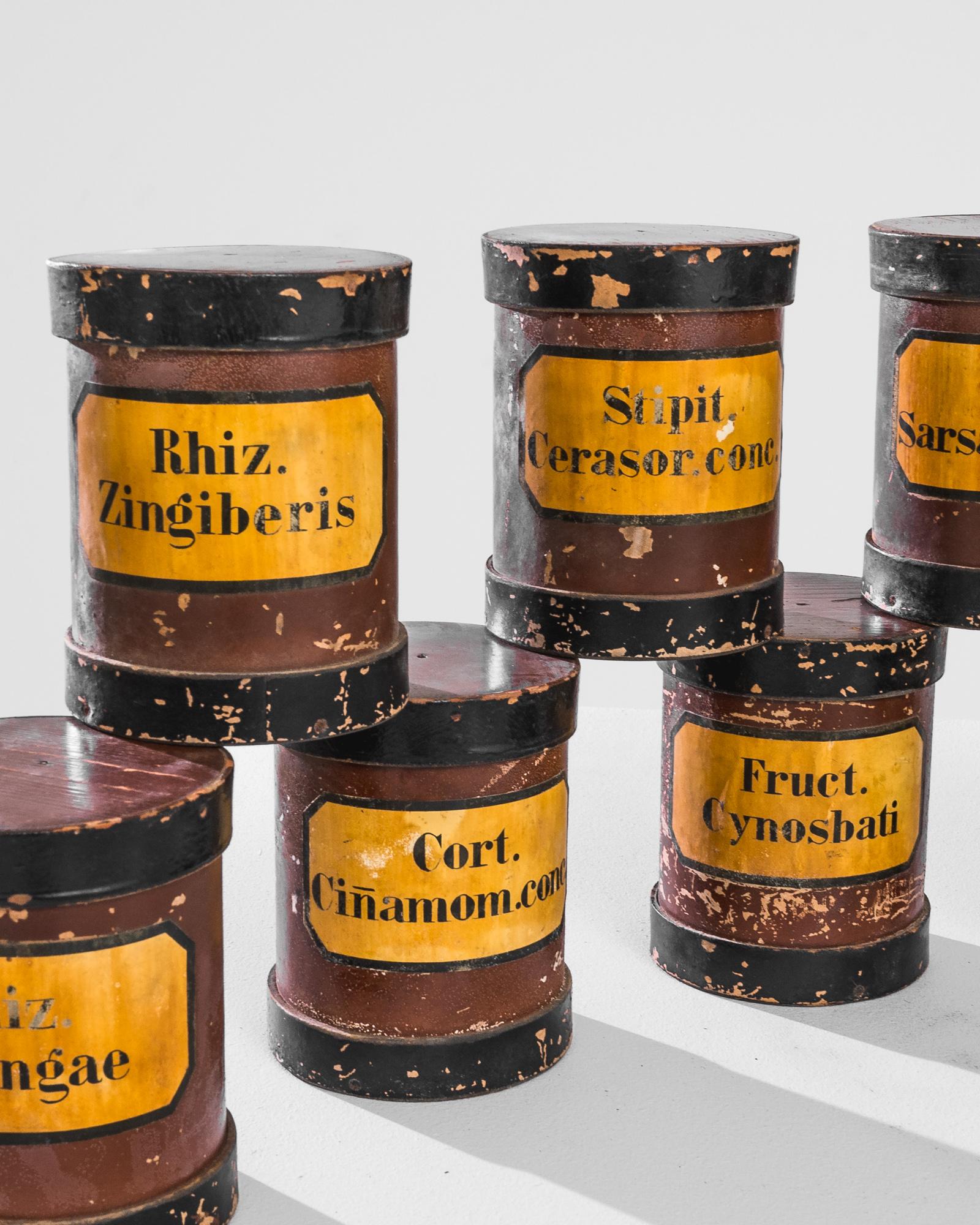 20th Century 1900s French Pharmacy Canisters, Set of 11 For Sale
