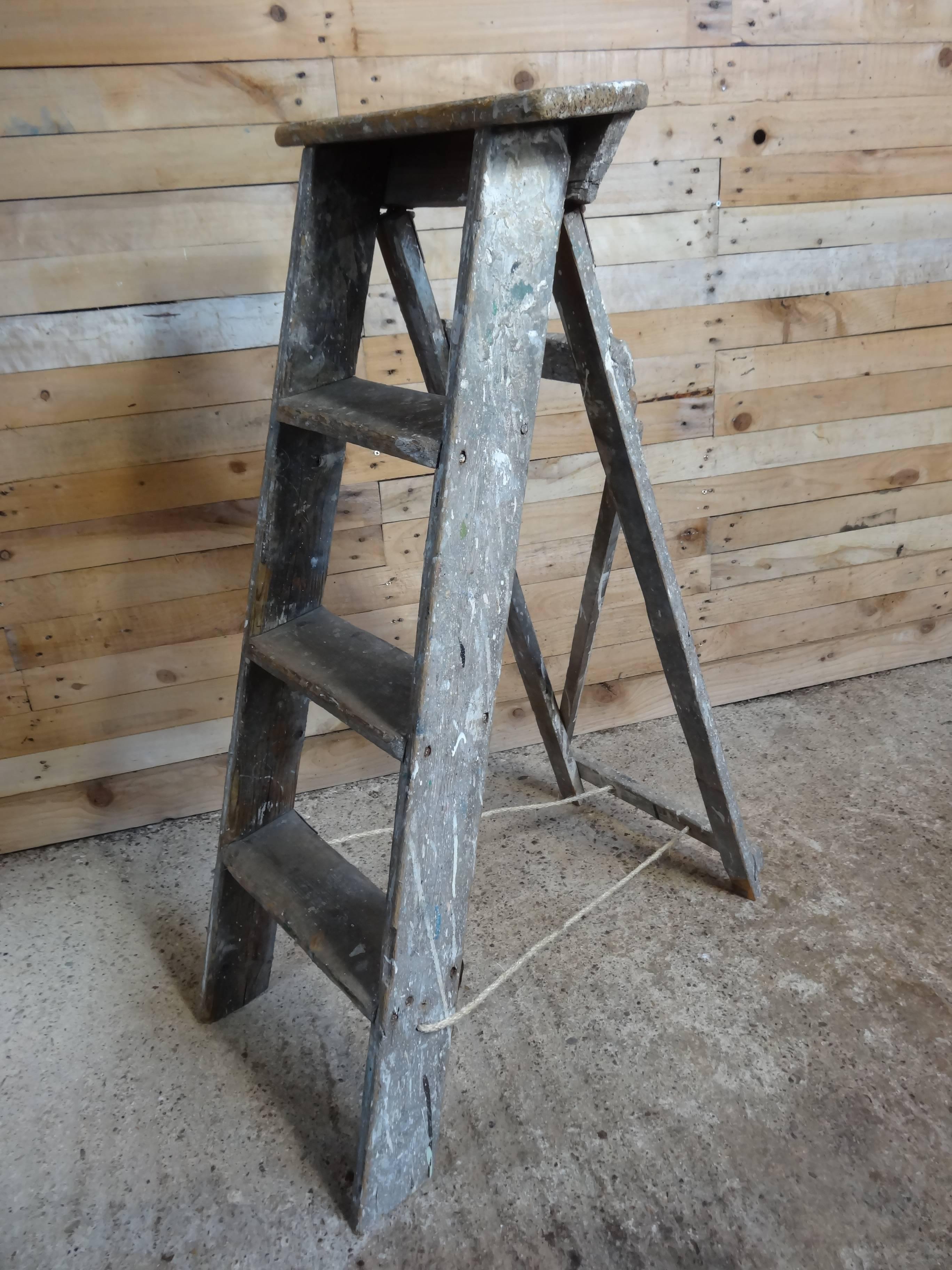 1900s French Vintage Artists Painting Ladder Library Steps / Shop Display In Good Condition In Markington, GB