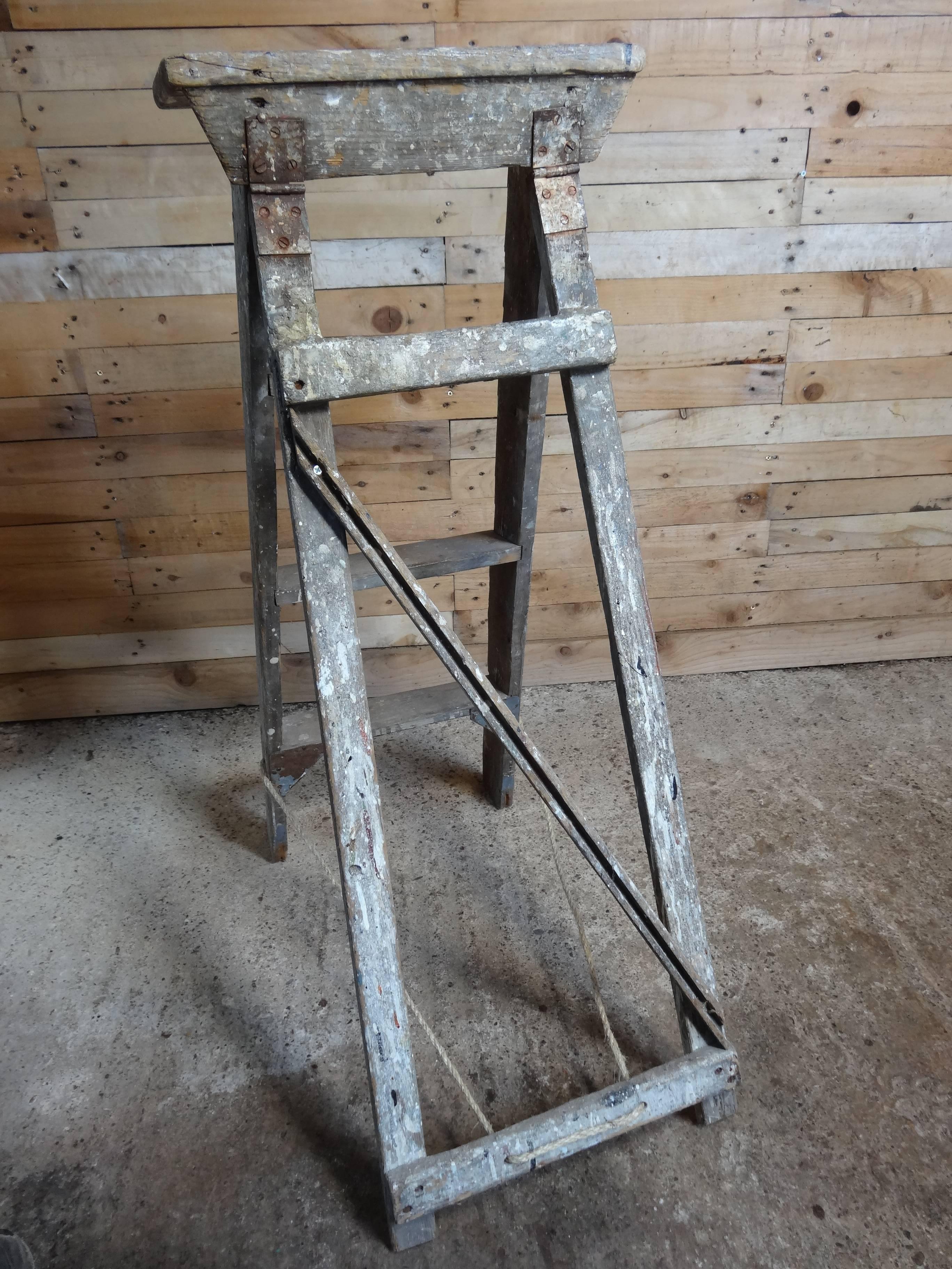 Metal 1900s French Vintage Artists Painting Ladder Library Steps / Shop Display
