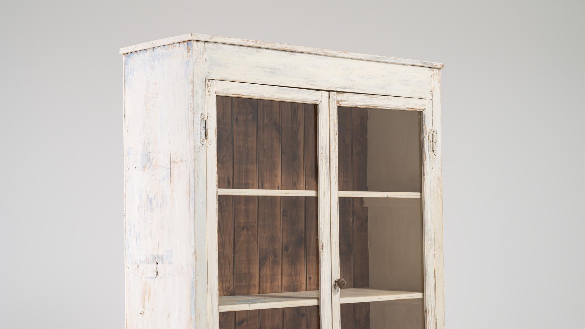 1900s French Wooden and Metal Vitrine For Sale 2