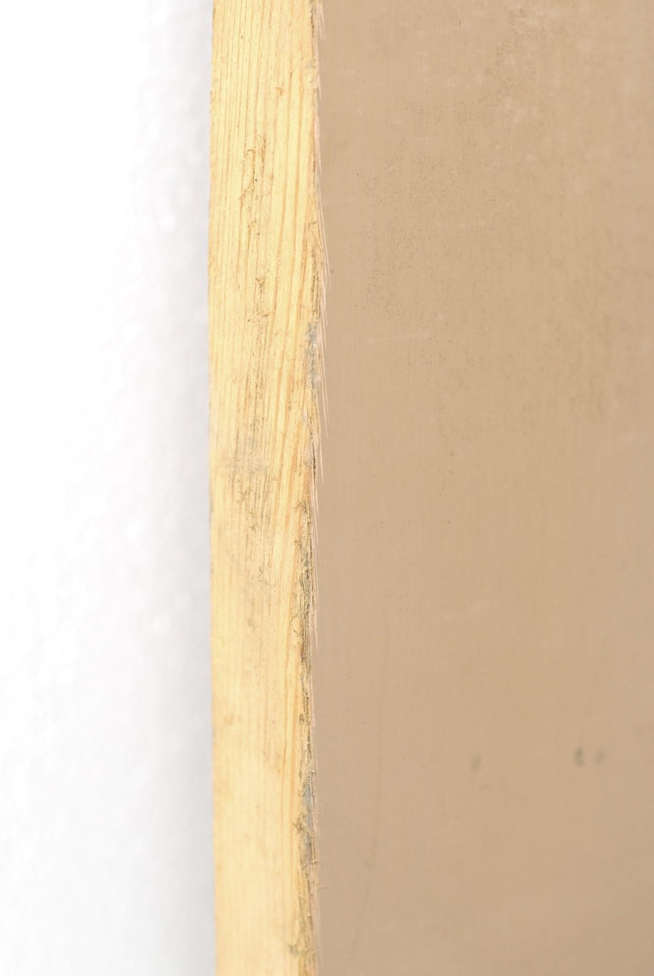 Bürotür aus Milchglas mit 2 Holztafeln, Kiefernholz lackiert, beige, 1900er Jahre (20. Jahrhundert)