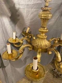 1900's Gilt Bronze Caldwell 8 lights Chandelier