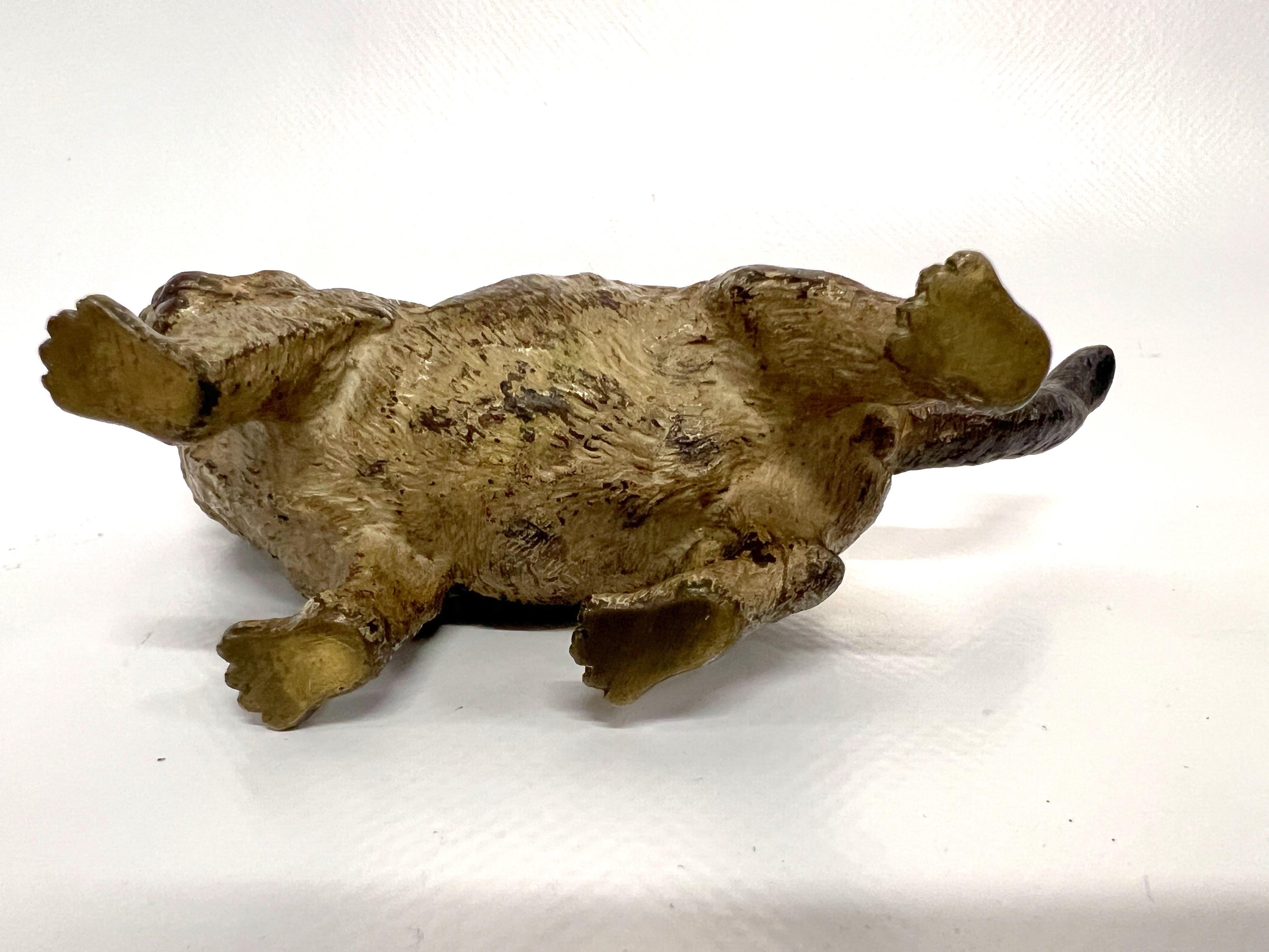 1900s Vienna Cold Painted Bronze Cat, Attributed to Bergman 2