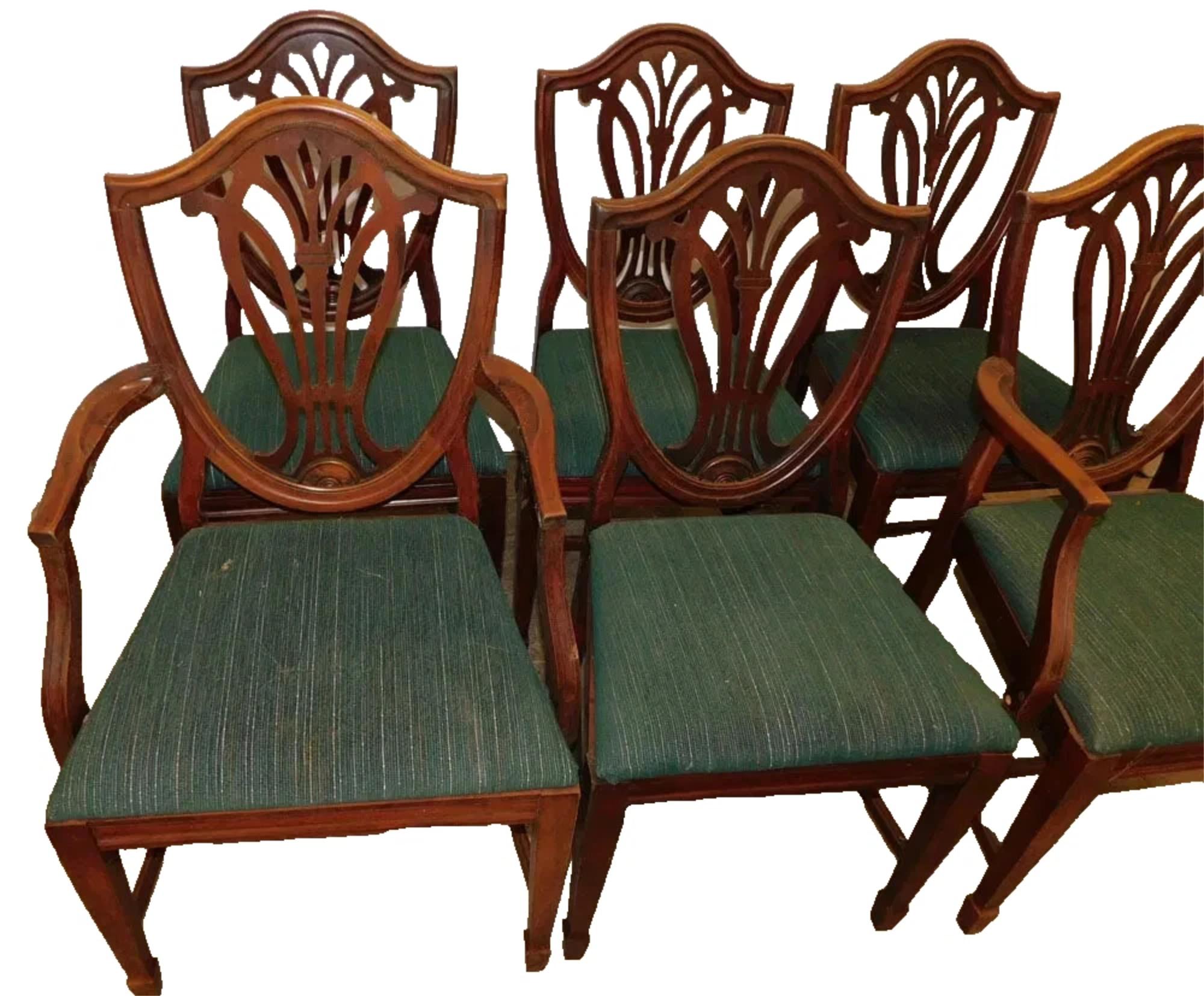 Charmant  Ensemble de chaises, dossier bouclier, salle à manger, ensemble de 6,  Acajou, tapisserie verte, Vintage, 1900s, 20ème siècle !

Fabriqué avec l'élégance d'antan, cet ensemble de six chaises de salle à manger en acajou incarne le charme