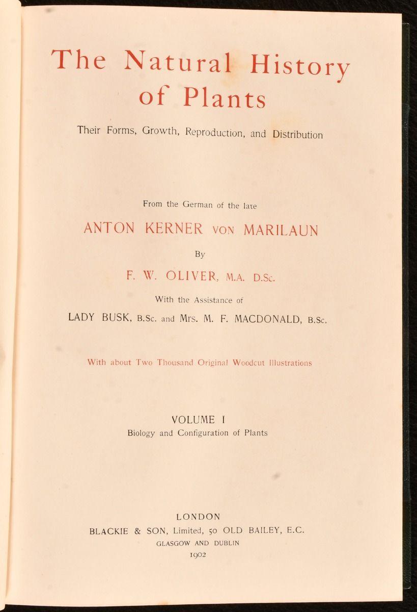 European 1902 The Natural History of Plants For Sale