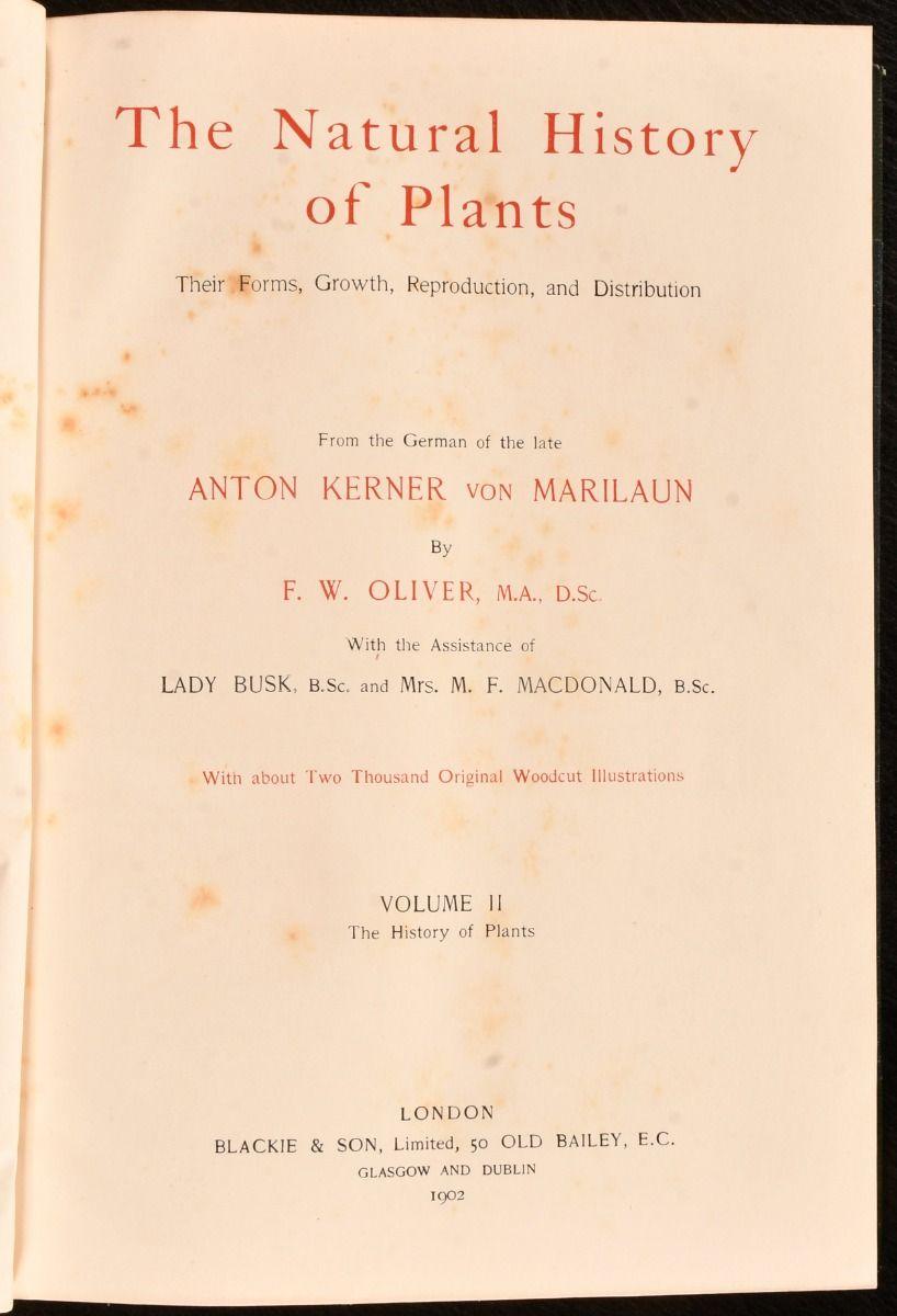 1902 The Natural History of Plants For Sale 2