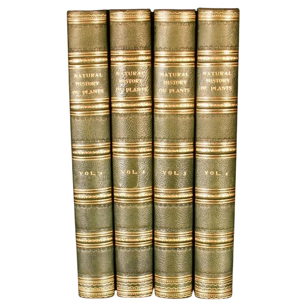 1902 The Natural History of Plants