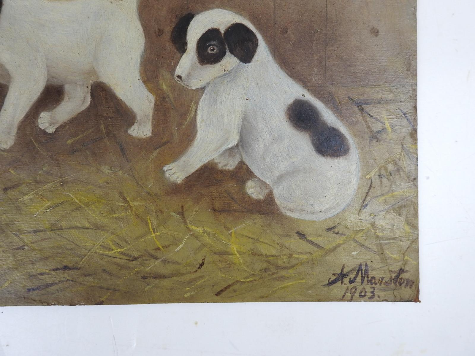 Antike 1903 Öl auf Künstler Bord Volkskunst Gemälde von einem Paar von Welpen und eine Maus.  Sie sehen aus wie kleine Jack-Russell-Terrier und befinden sich in einer Scheune, und das Mauseloch ist auf der linken Seite.  Signiert A. Marston und