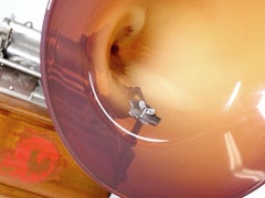 1904 Amber Glass Horn Pathe Gramophone