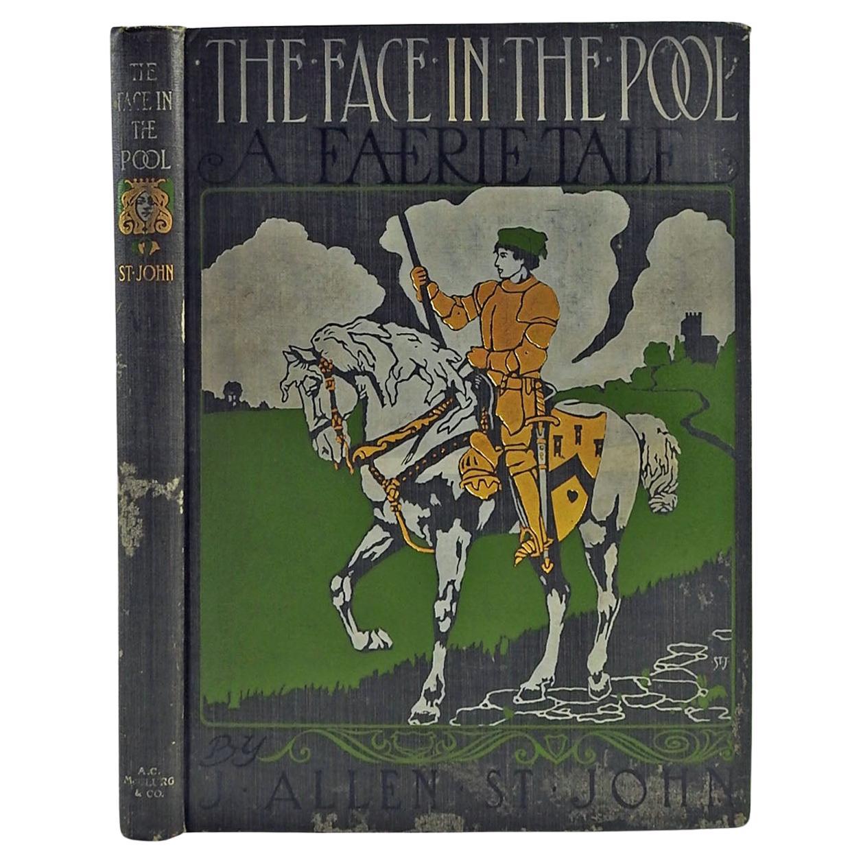 1905 the Face in the Pool a Faerie Tale Book For Sale