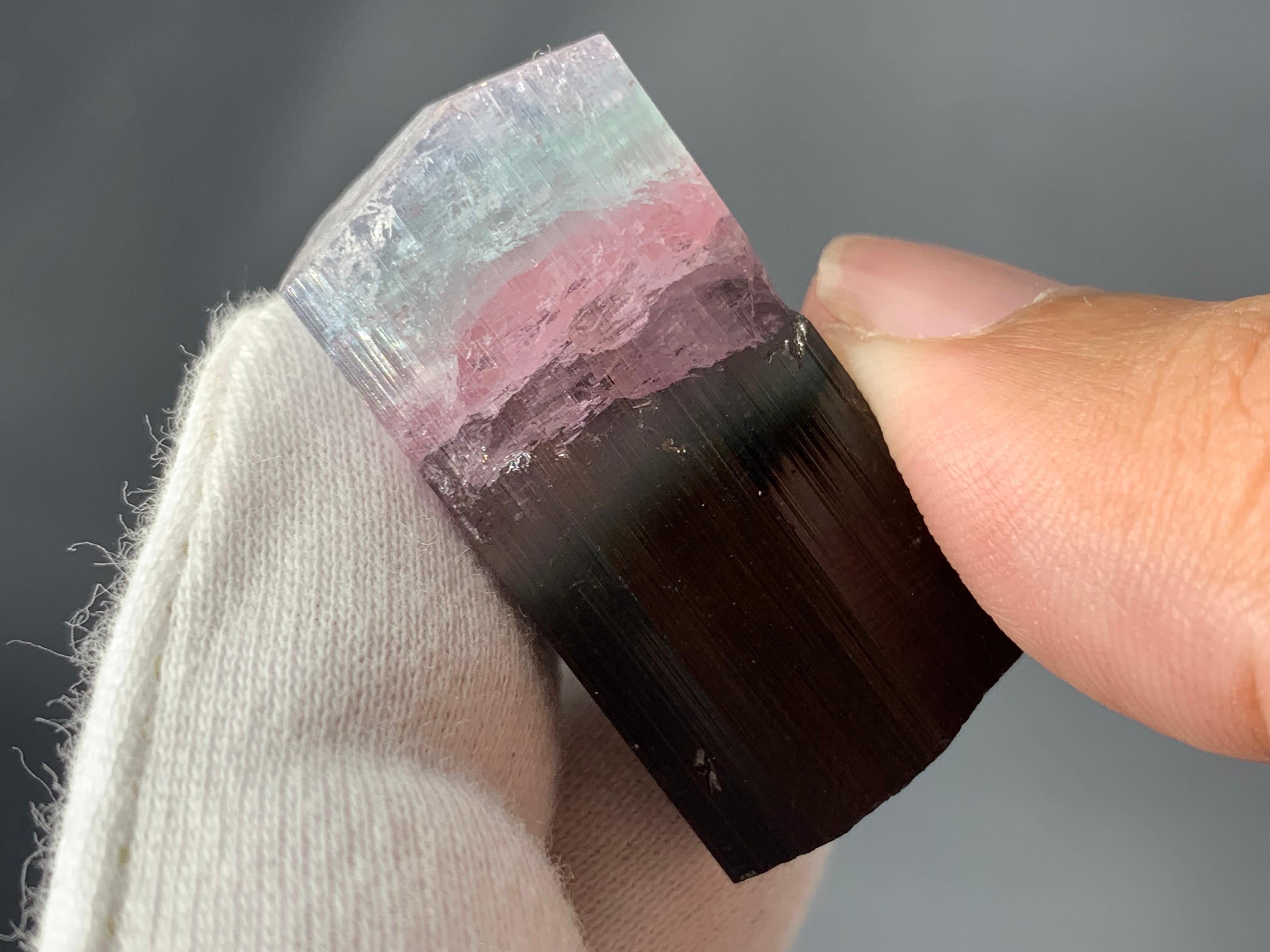 PRODUCT INFORMATION:

Natural Tourmaline Crystal 

Weight: 19.06 Grams

Dimension: 3.3 x 1.7 x 1.6 cm 

Locality: Kunar Mine, Afghanistan 

Treatment: None

DESCRIPTION:

This exquisite natural tri-color tourmaline crystal, weighing 19.06 grams,