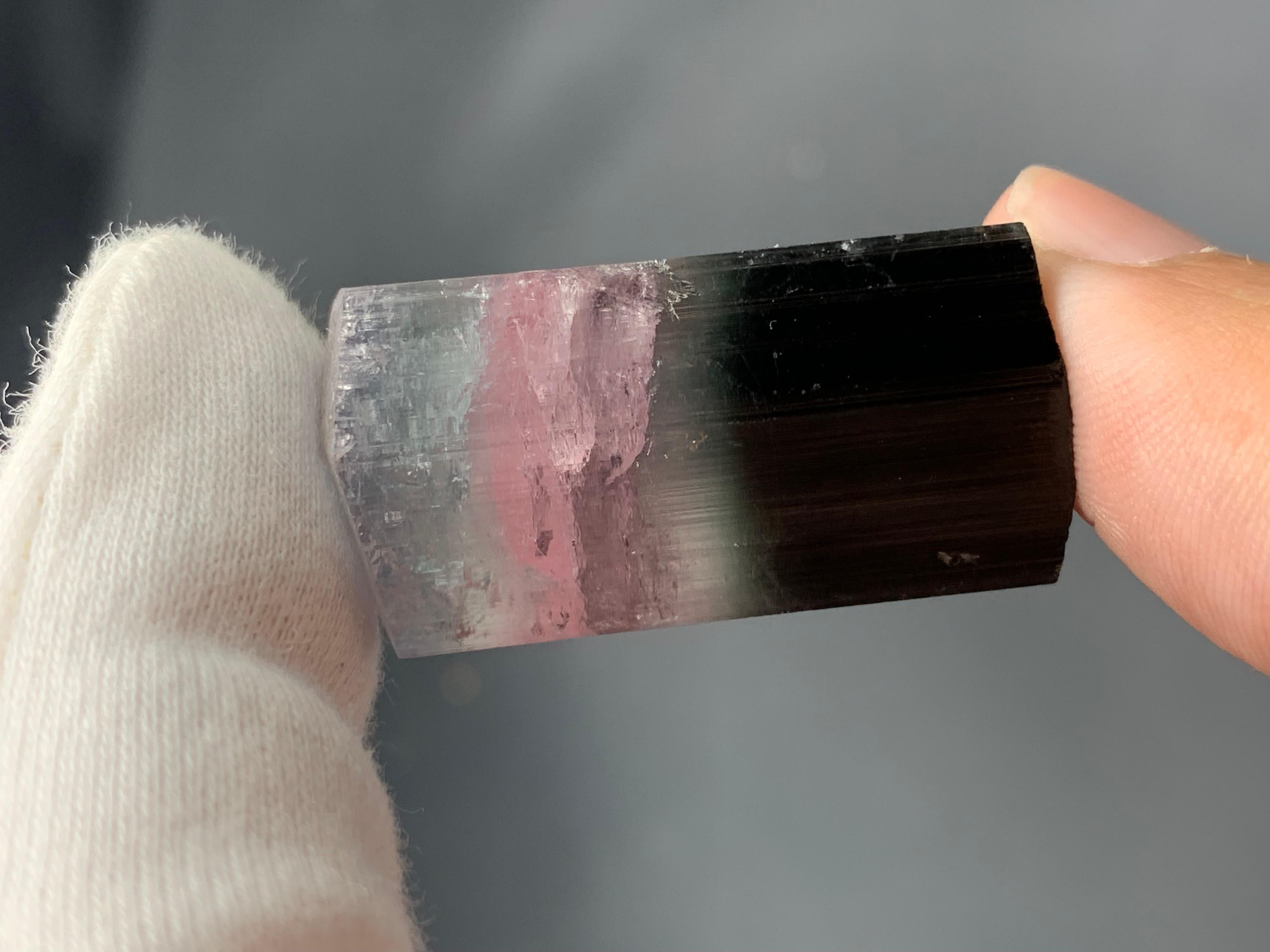 American Craftsman 19.06 Grams Natural Tri-Colour Tourmaline Crystal From Kunar, Afghanistan For Sale