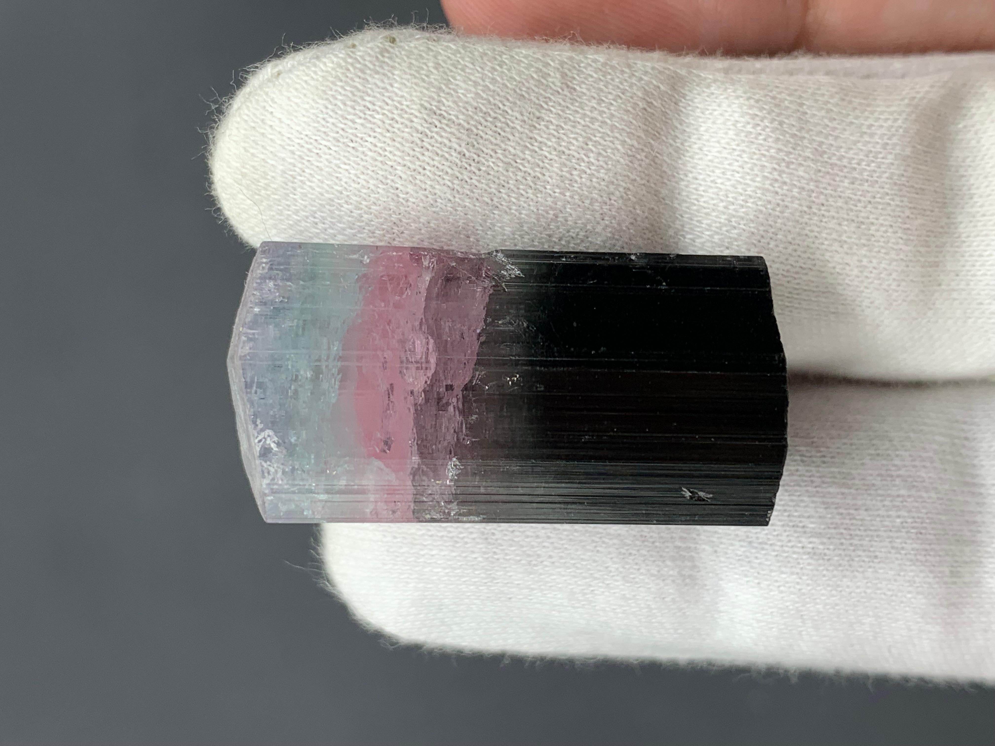 19.06 Grams Natural Tri-Colour Tourmaline Crystal From Kunar, Afghanistan In Excellent Condition For Sale In Peshawar, PK