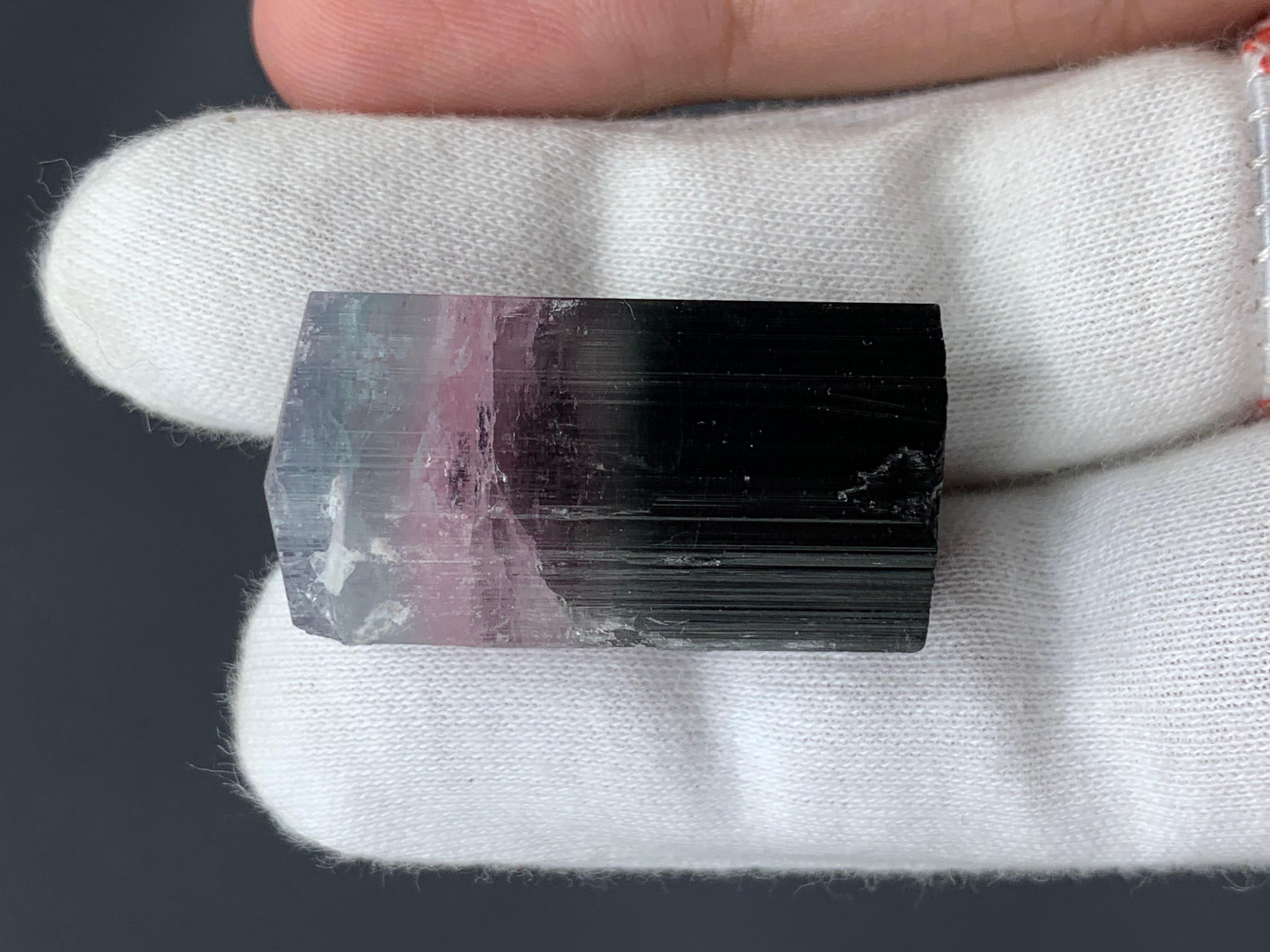 Other 19.06 Grams Natural Tri-Colour Tourmaline Crystal From Kunar, Afghanistan For Sale