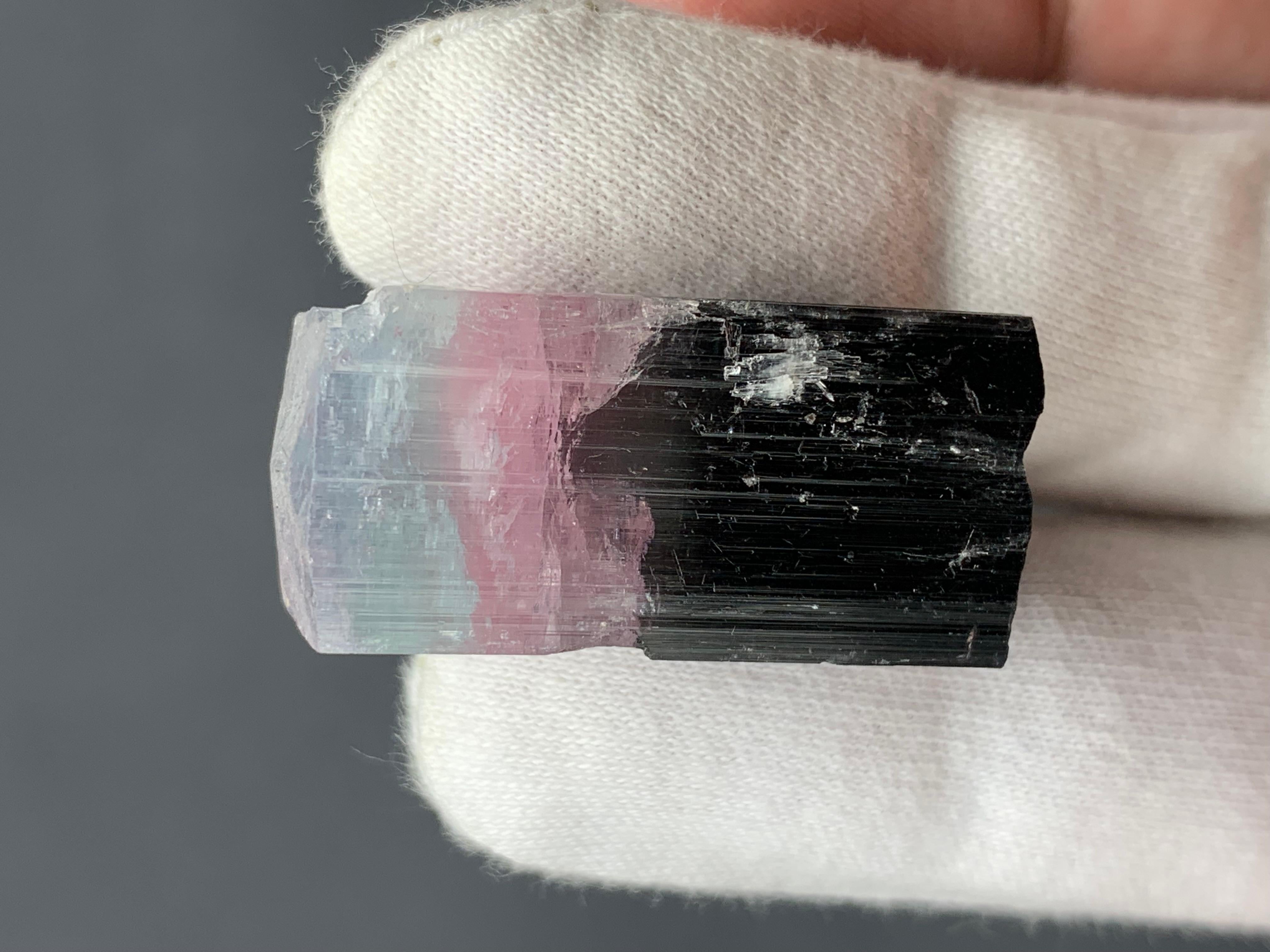 19.06 Grams Natural Tri-Colour Tourmaline Crystal From Kunar, Afghanistan For Sale 1