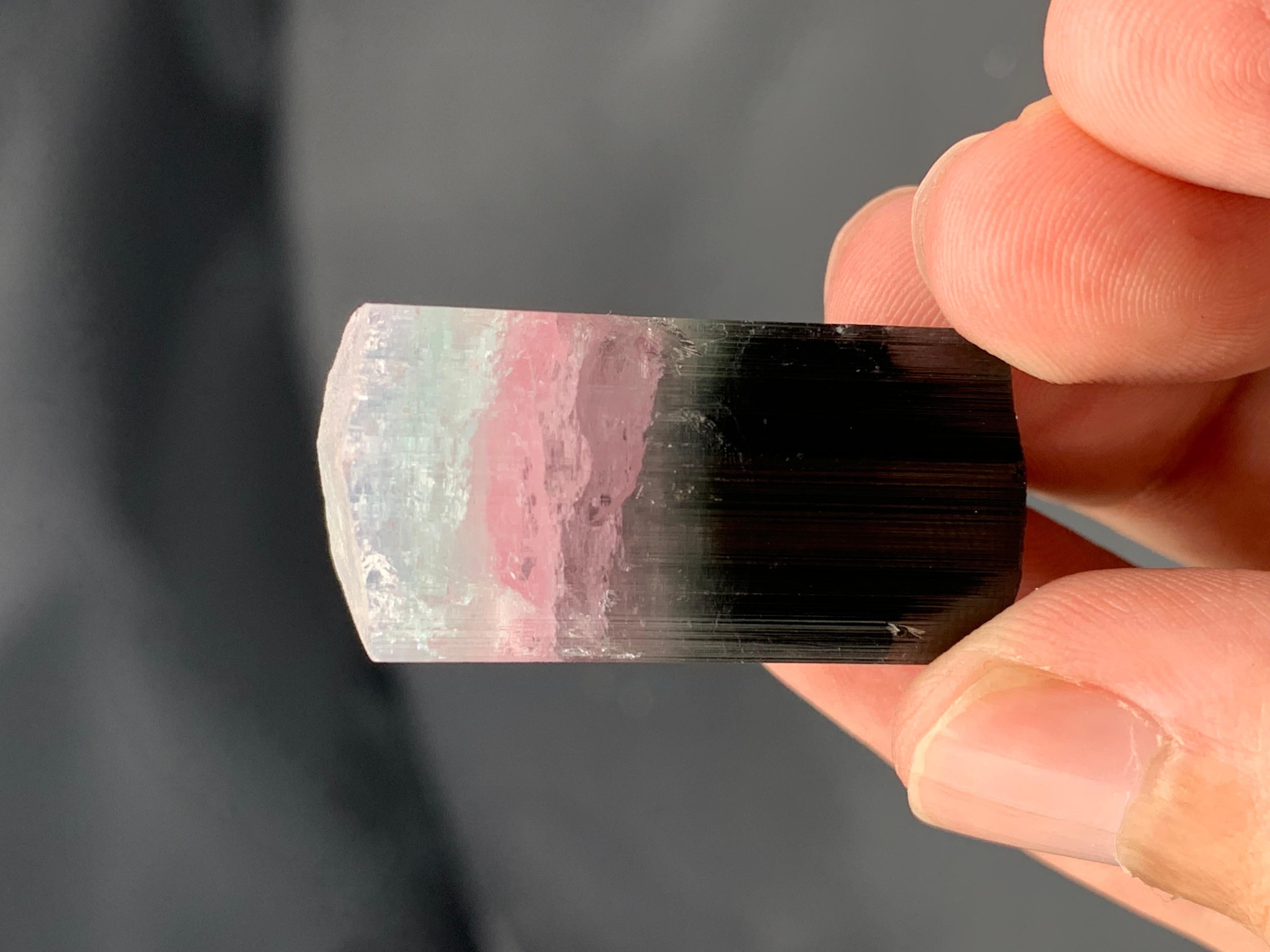 19.06 Grams Natural Tri-Colour Tourmaline Crystal From Kunar, Afghanistan For Sale 2
