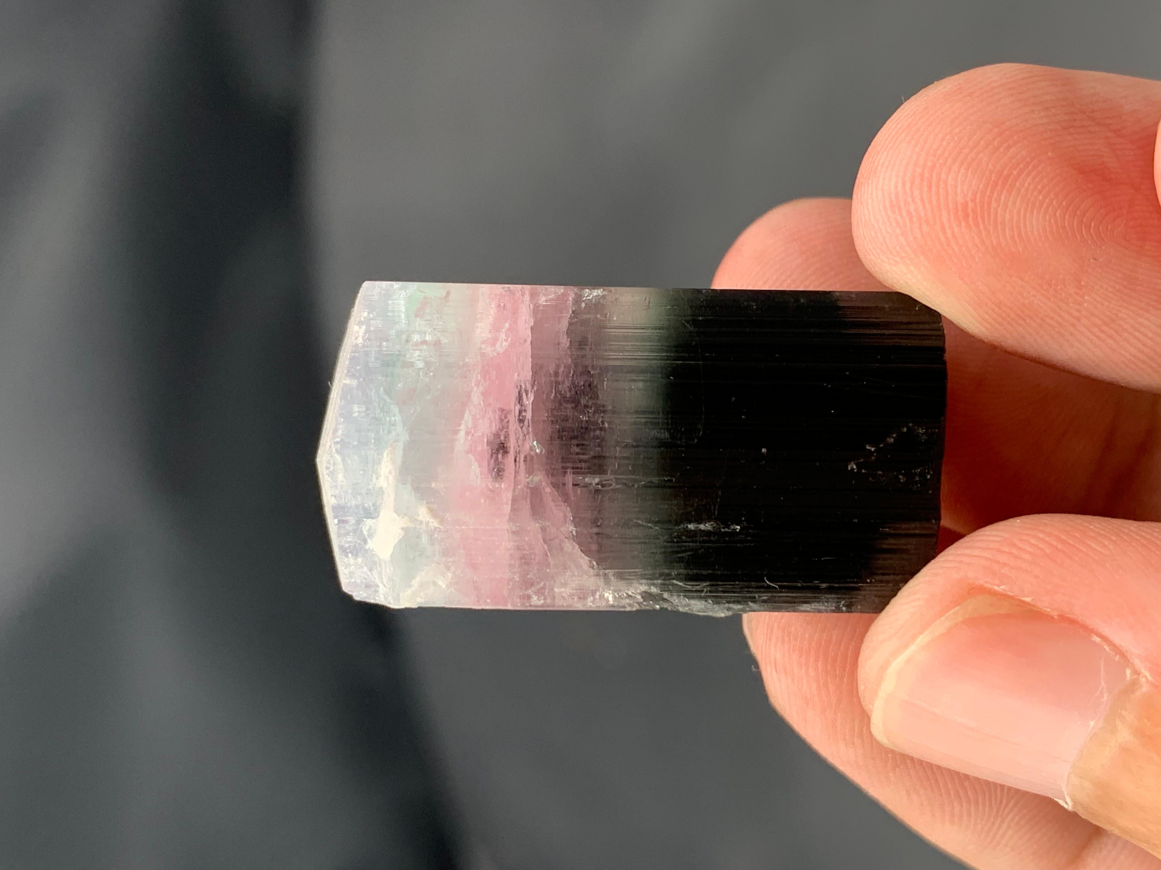 19.06 Grams Natural Tri-Colour Tourmaline Crystal From Kunar, Afghanistan For Sale 3