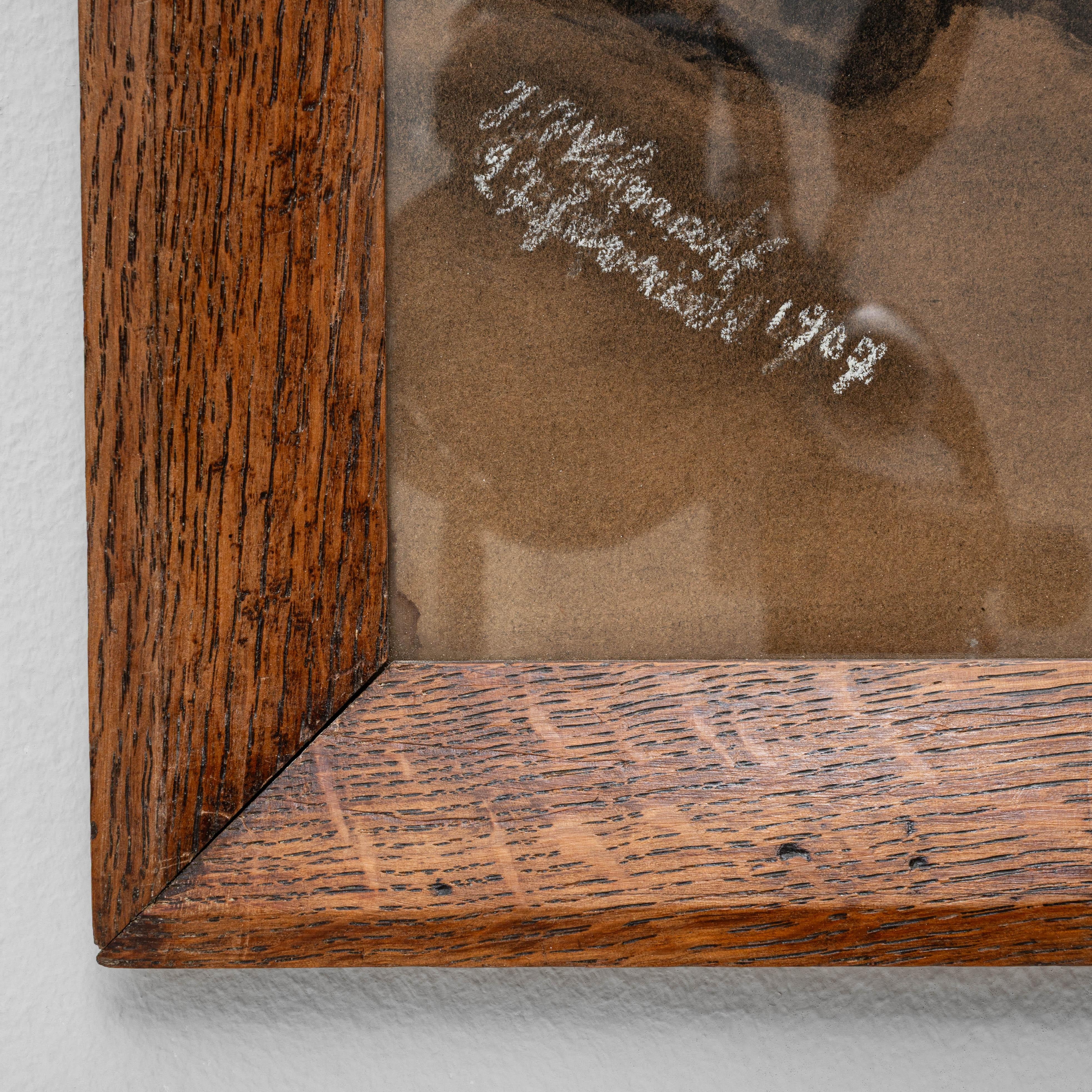 1907 Cane belga dipinto con cornice di legno in vendita 4