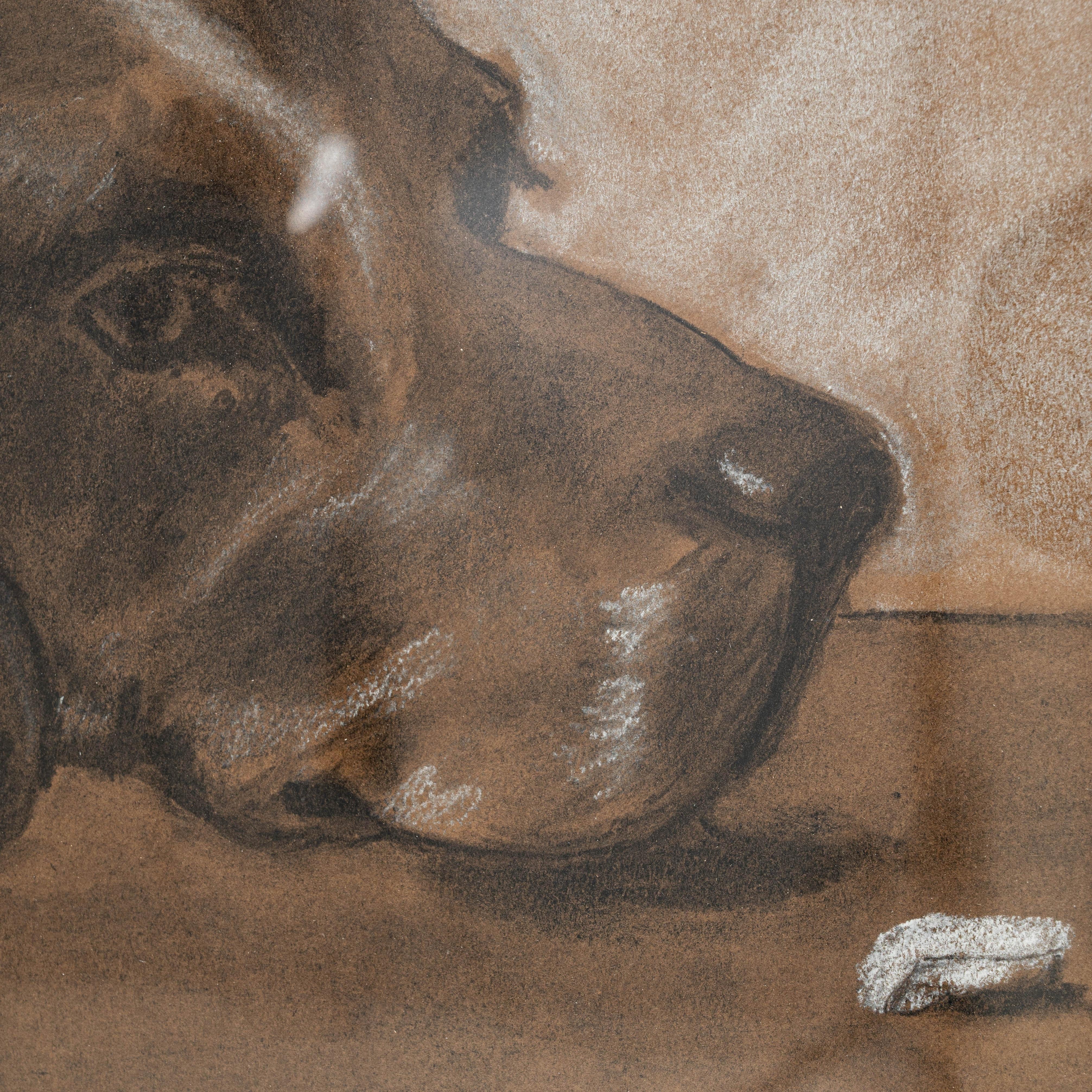 1907 Cane belga dipinto con cornice di legno in vendita 3