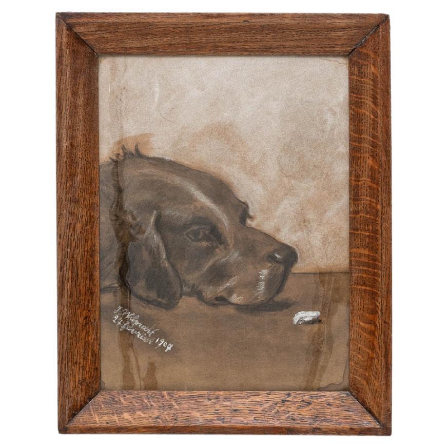 1907 Peinture d
un chien belge avec cadre en bois