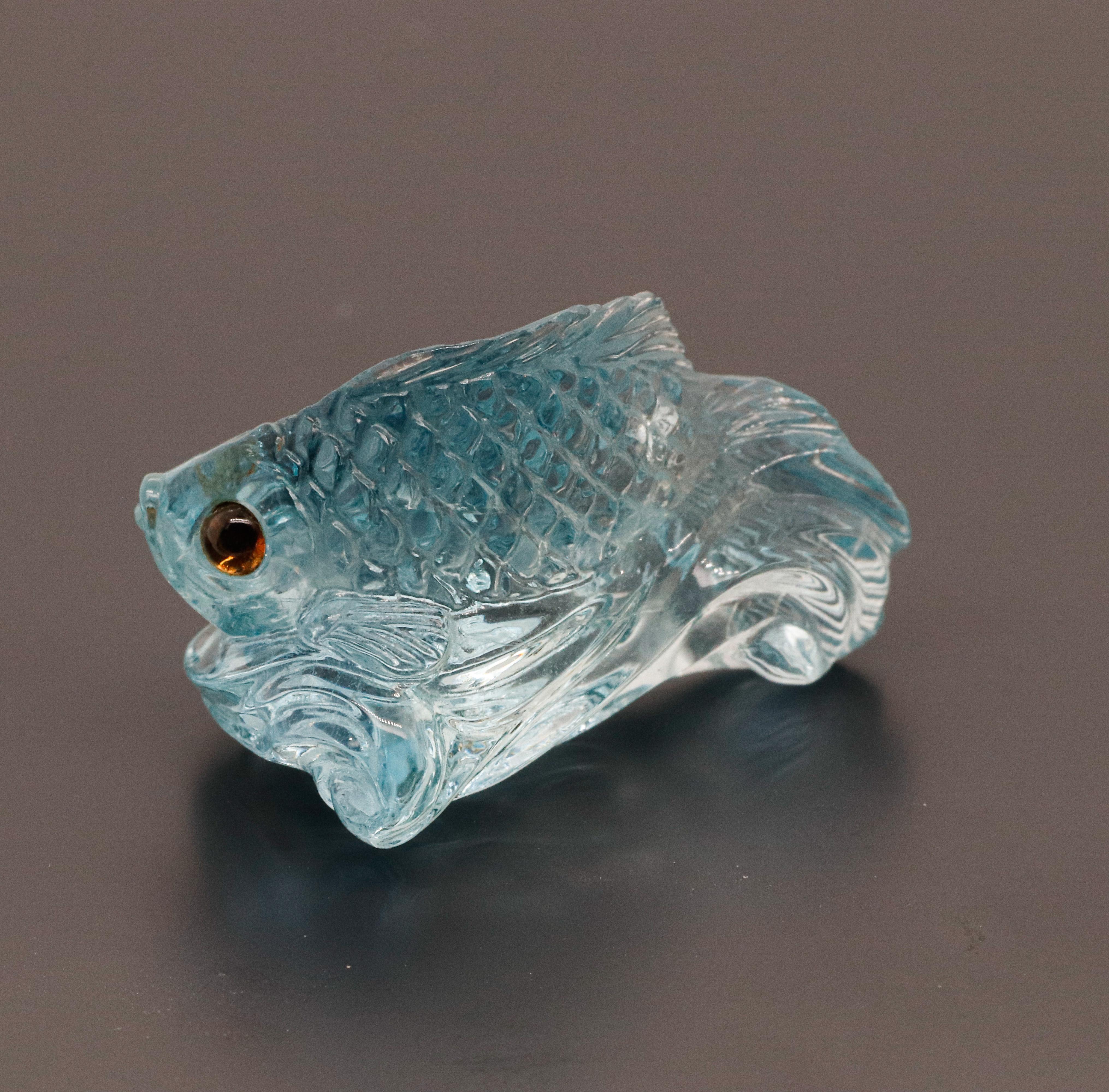 aquamarine fish