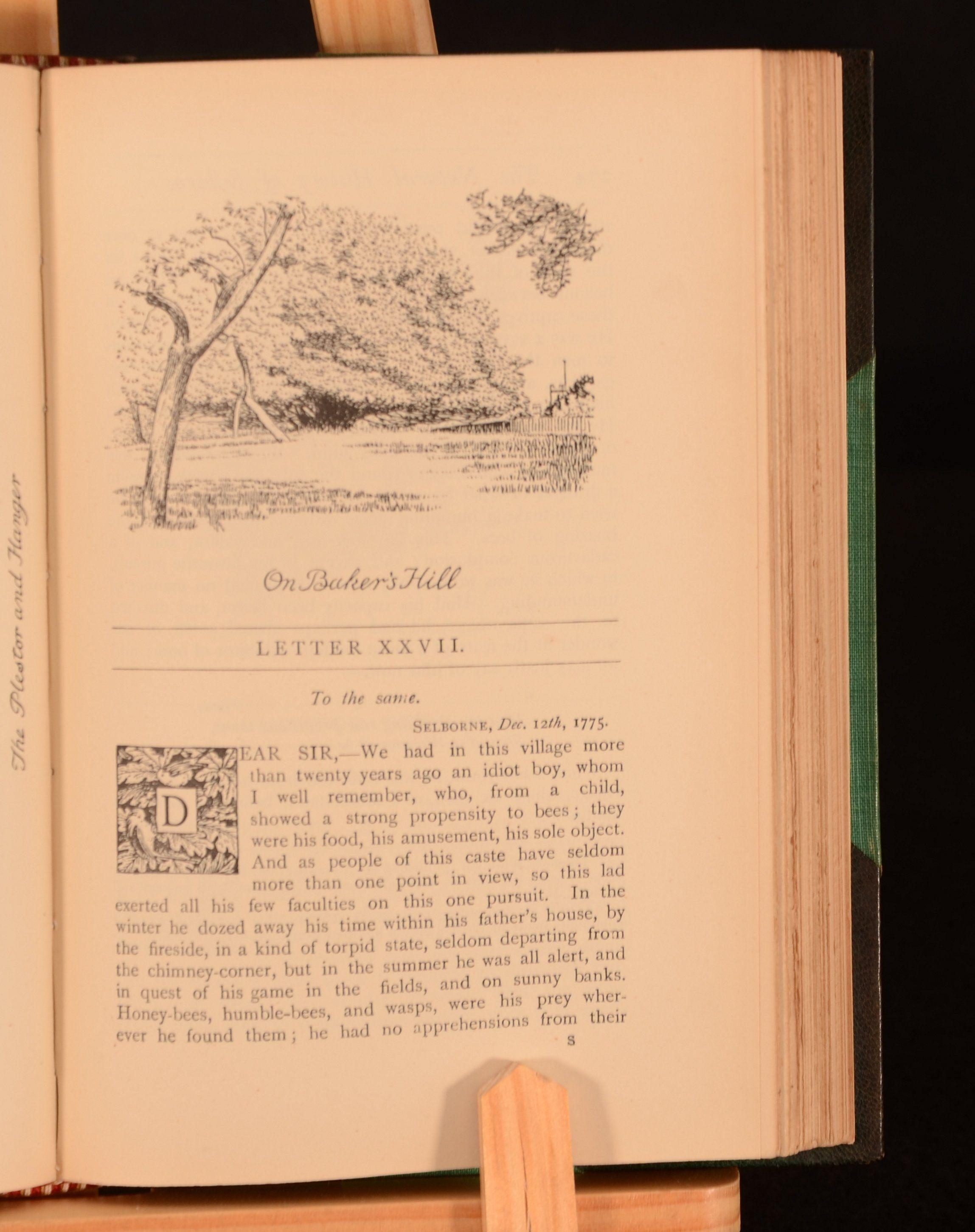 1908 L'histoire naturelle de Selborne en vente 1