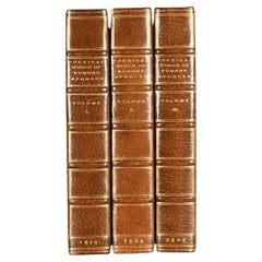 Antique 1909-1910 The Poetical Works of Edmund Spenser in Three Volumes