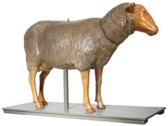 1910 Anatomical Model of Sheep, Germany