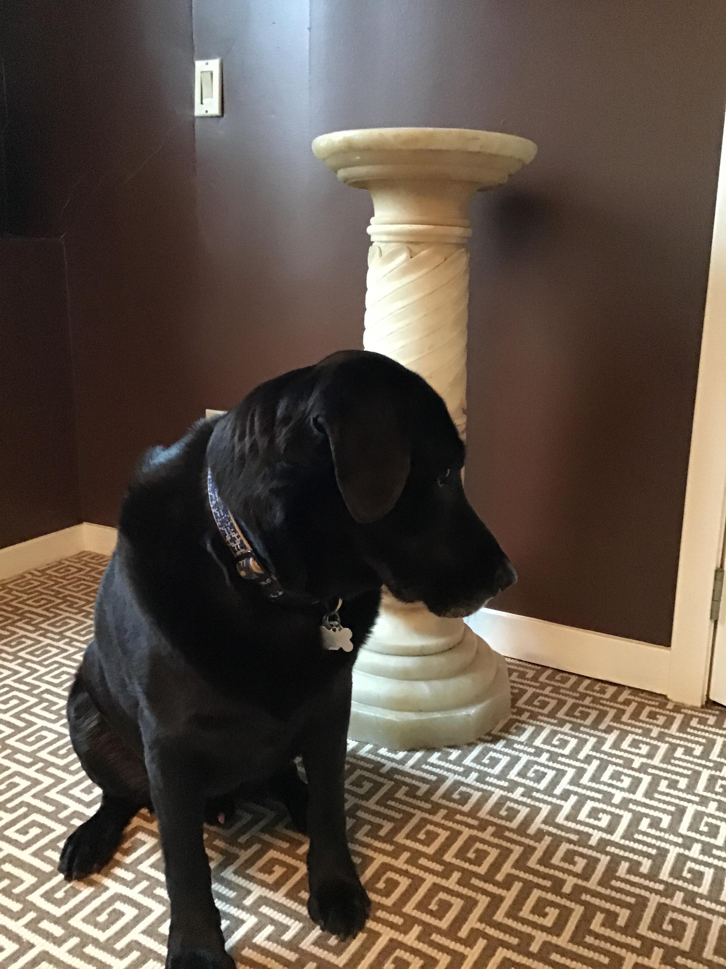 Early 20th Century 1910 Carved Alabaster Pedestal