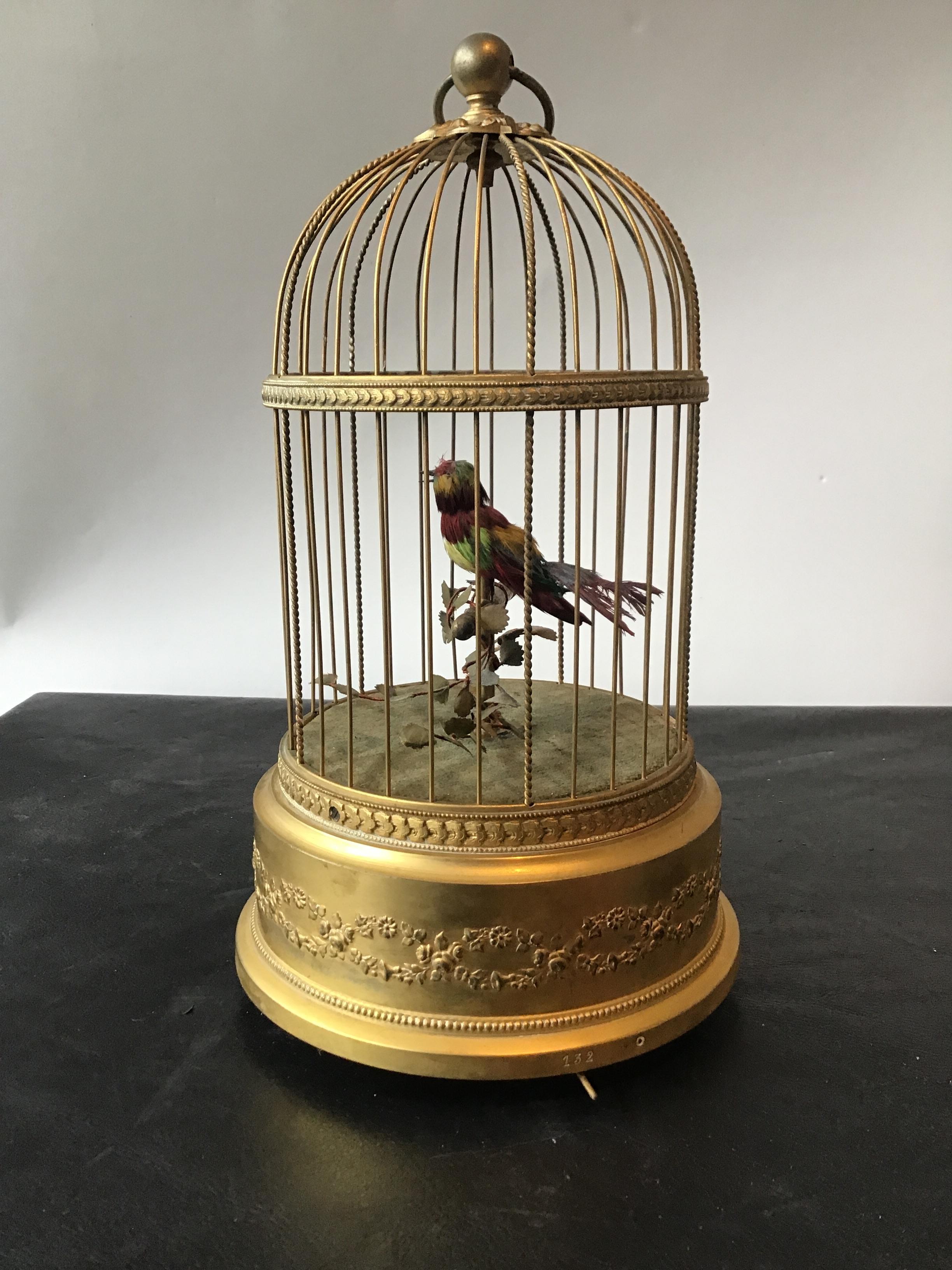 old bird cages