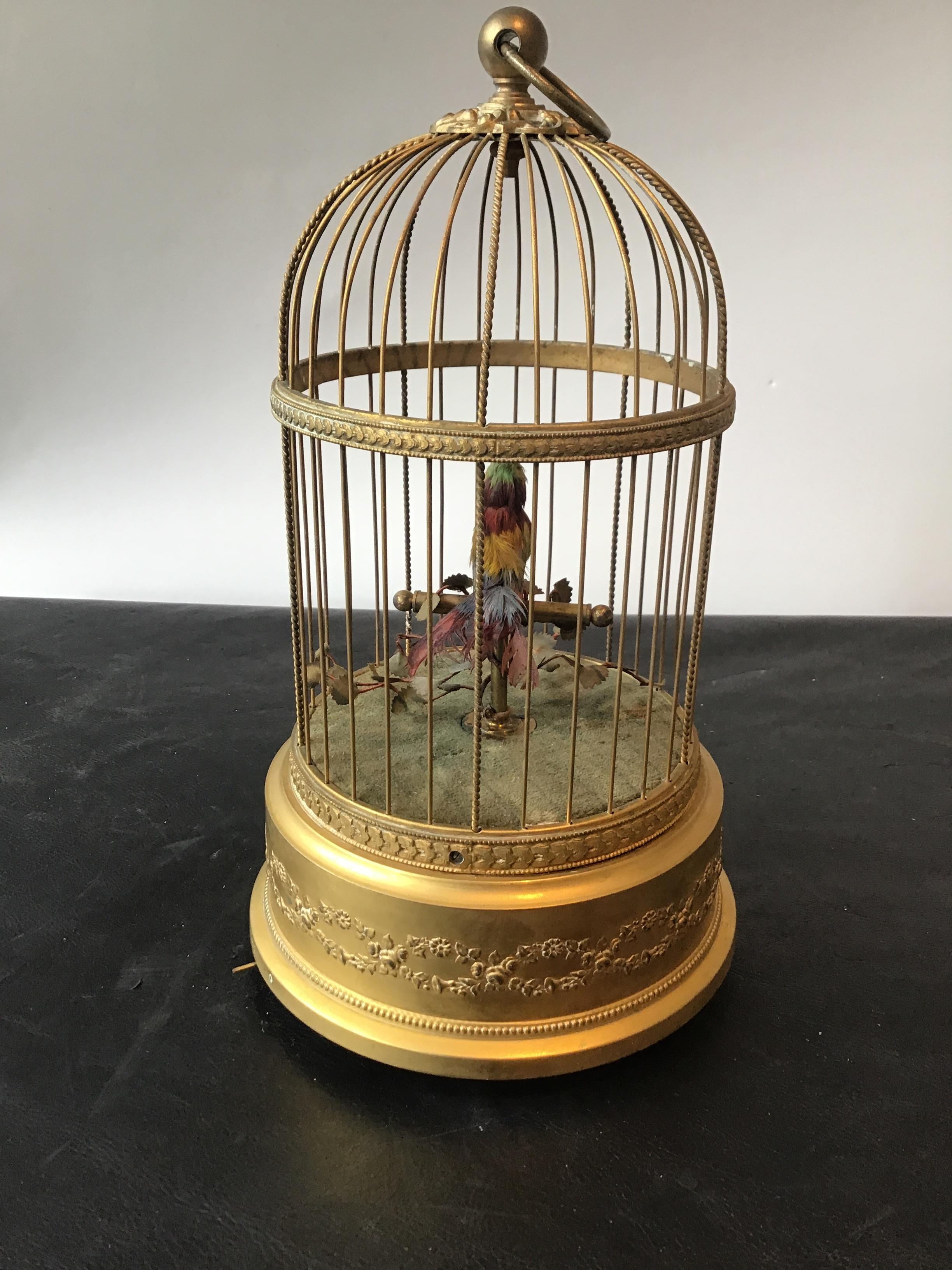 bird in bird cage