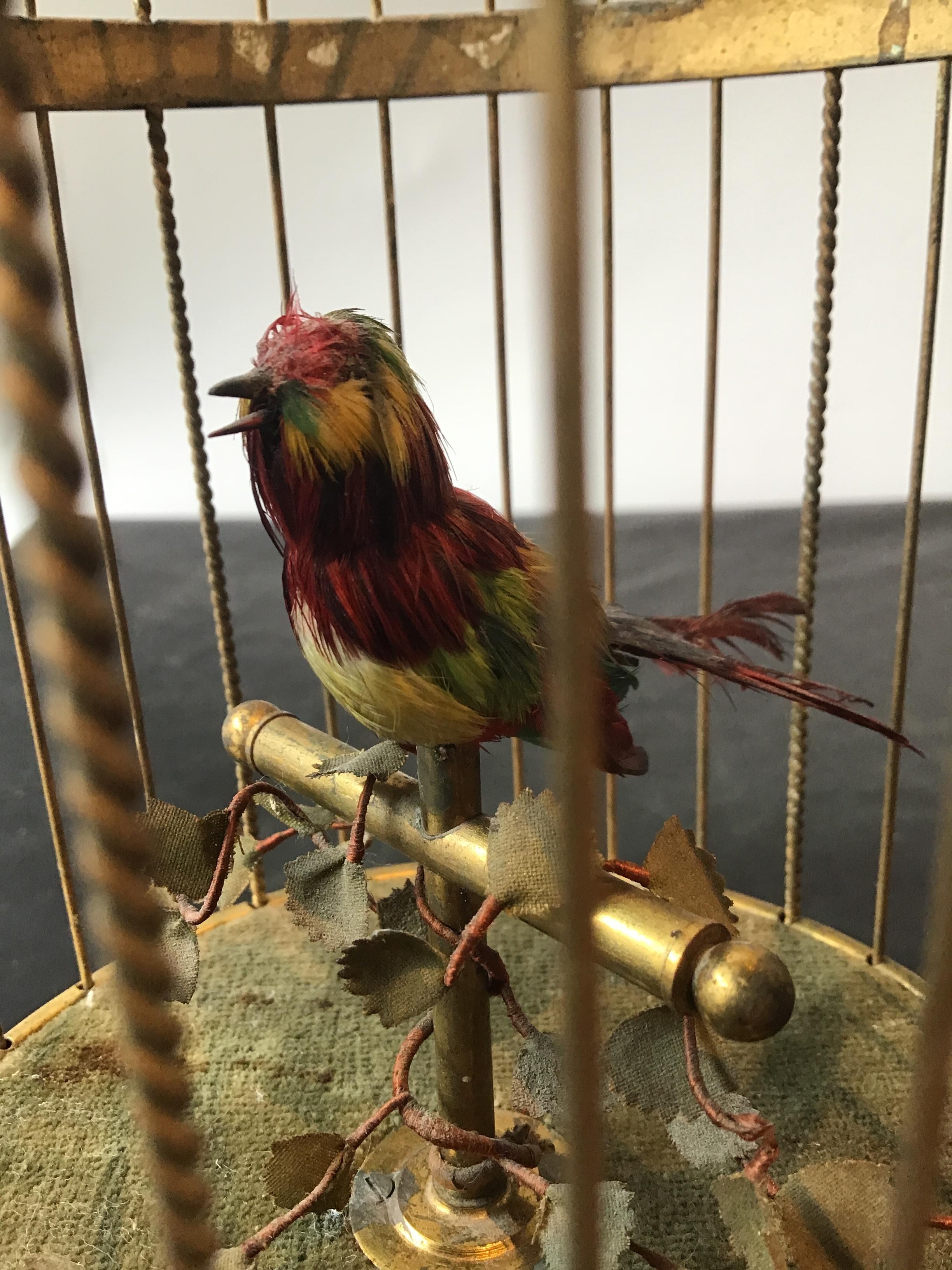 Early 20th Century 1910 French Automaton Singing Bird in Gilt Brass Cage