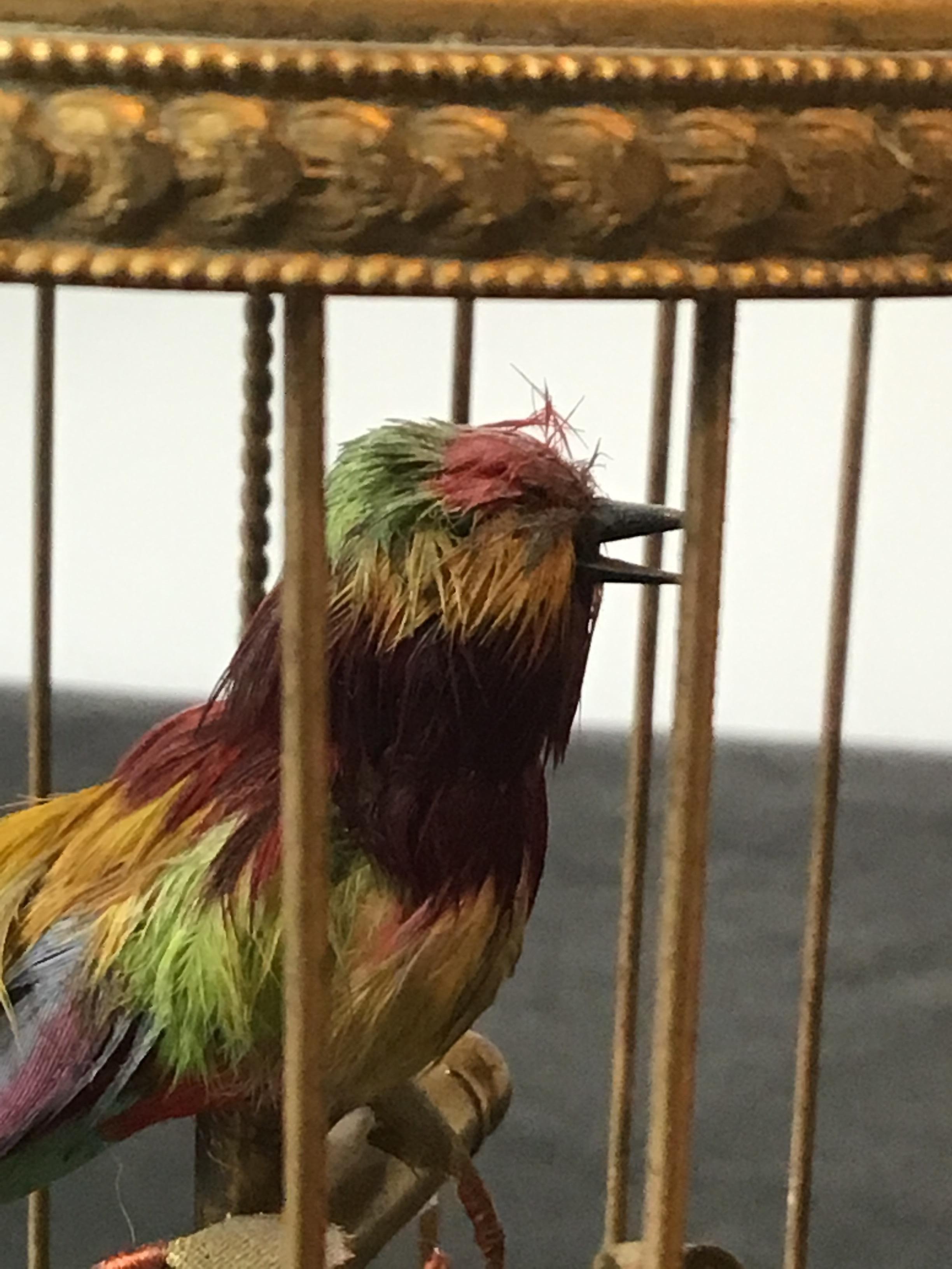 1910 French Automaton Singing Bird in Gilt Brass Cage 1