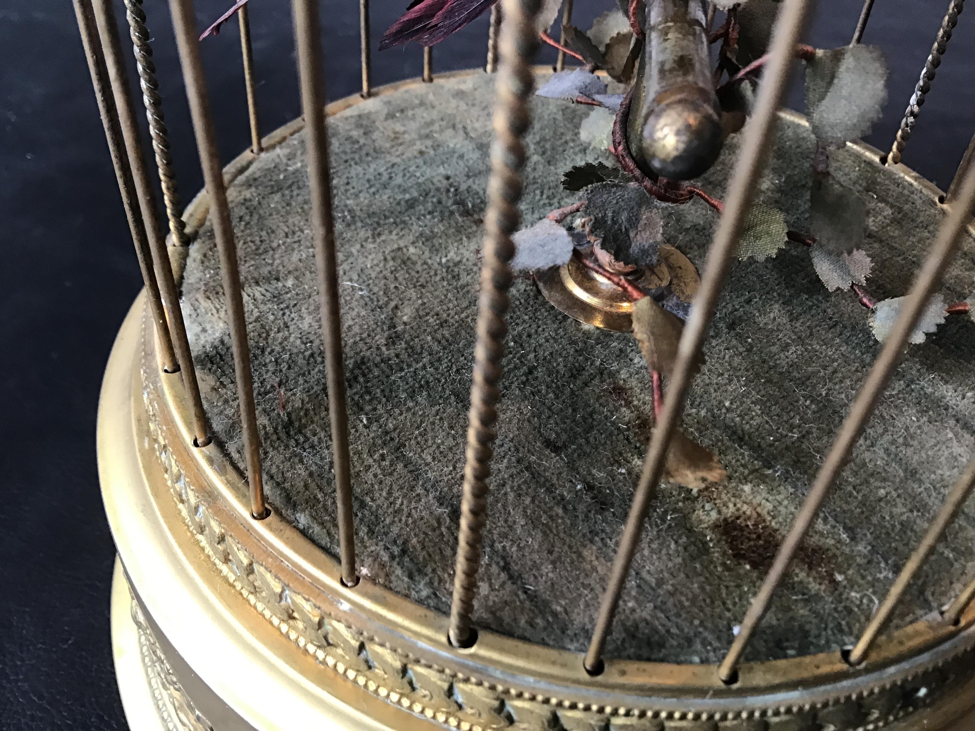 1910 French Automaton Singing Bird in Gilt Brass Cage 2
