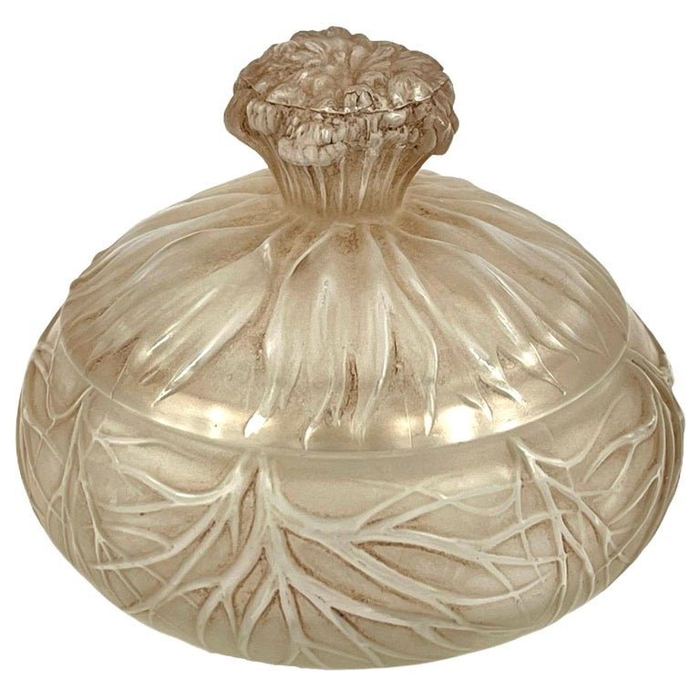 1910 René Lalique Cheveux De Venus Box Frosted Glass with Sepia Patina at  1stDibs | frosted glass box